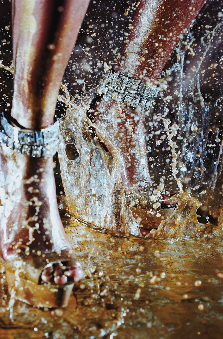 Brought to you by Phillips