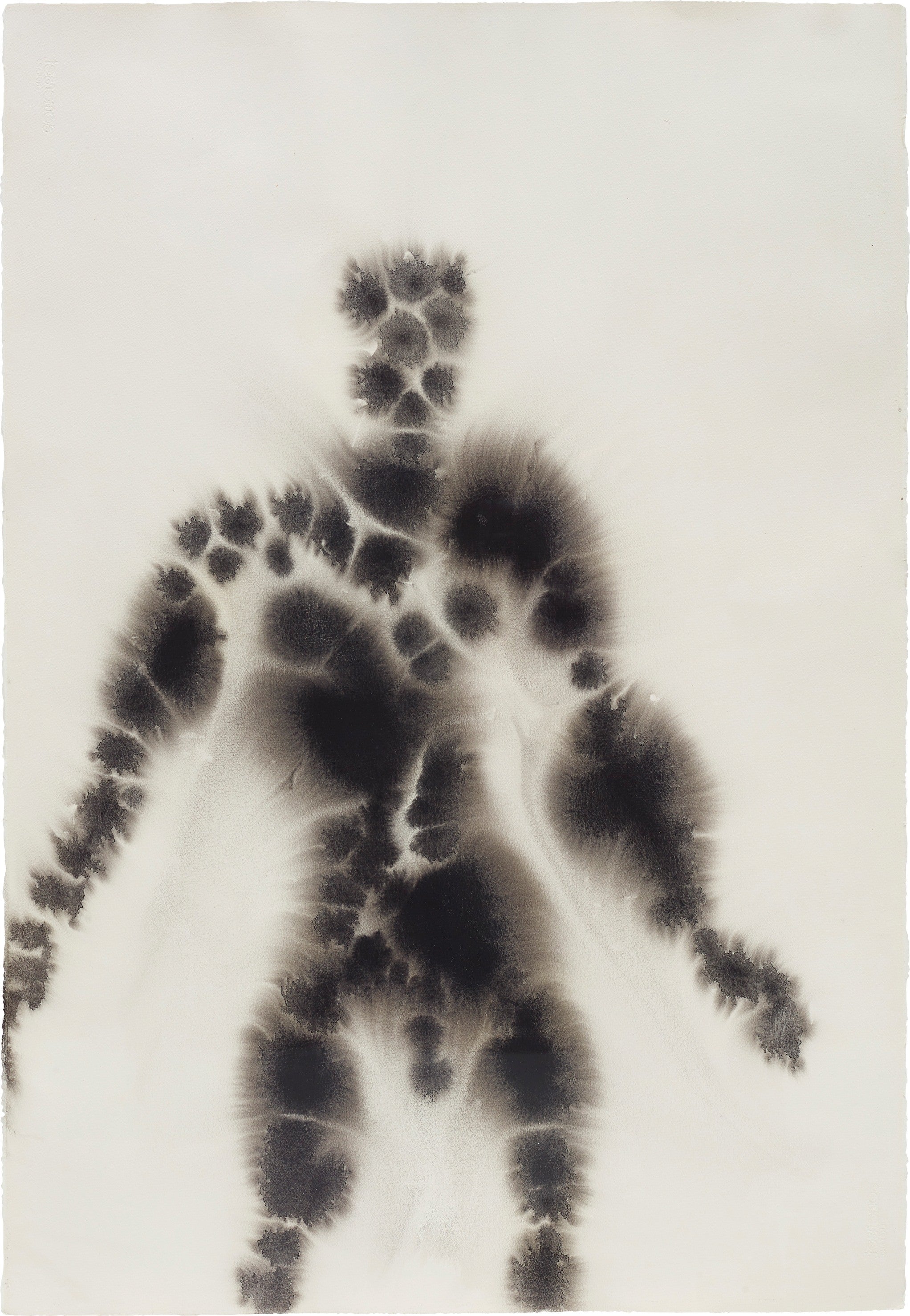 Wolfgang Tillmans 20th Century & Contemporary Art Day Sale