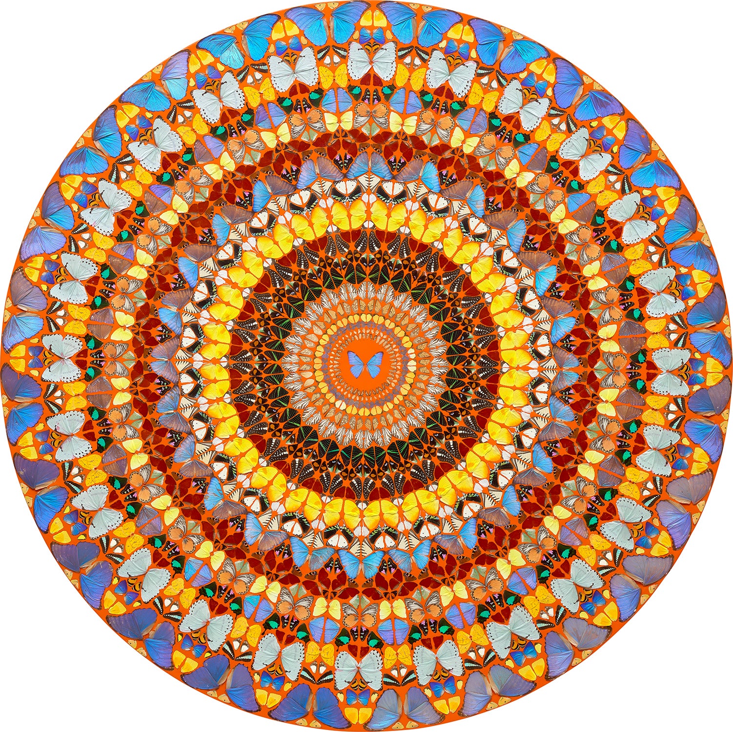 Omnipotence