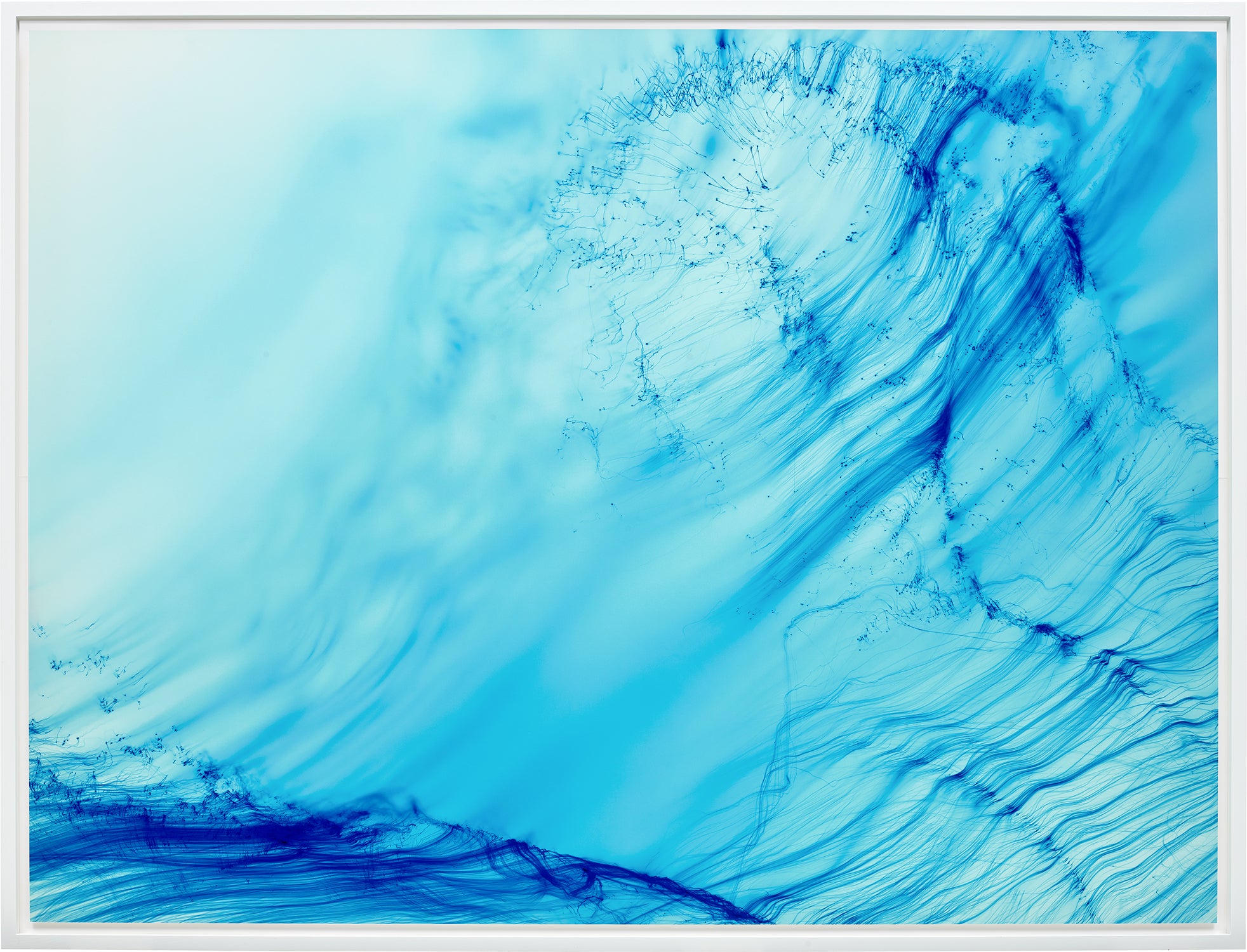 Wolfgang Tillmans Modern & Contemporary Art Evening Sale