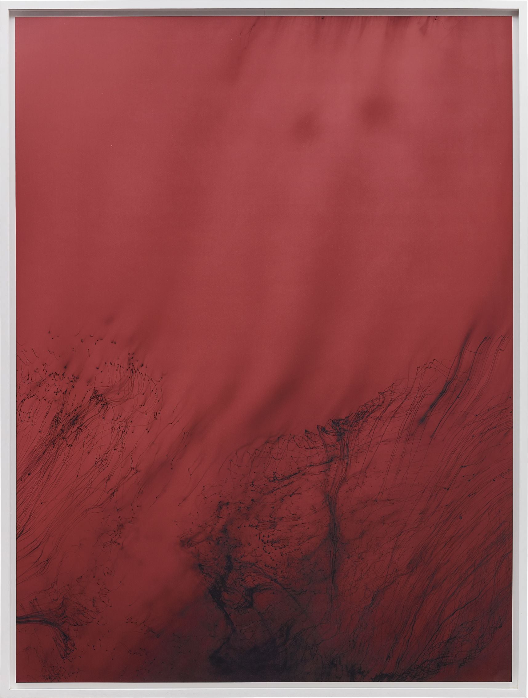 Wolfgang Tillmans 20th Century & Contemporary Art Evening Sale