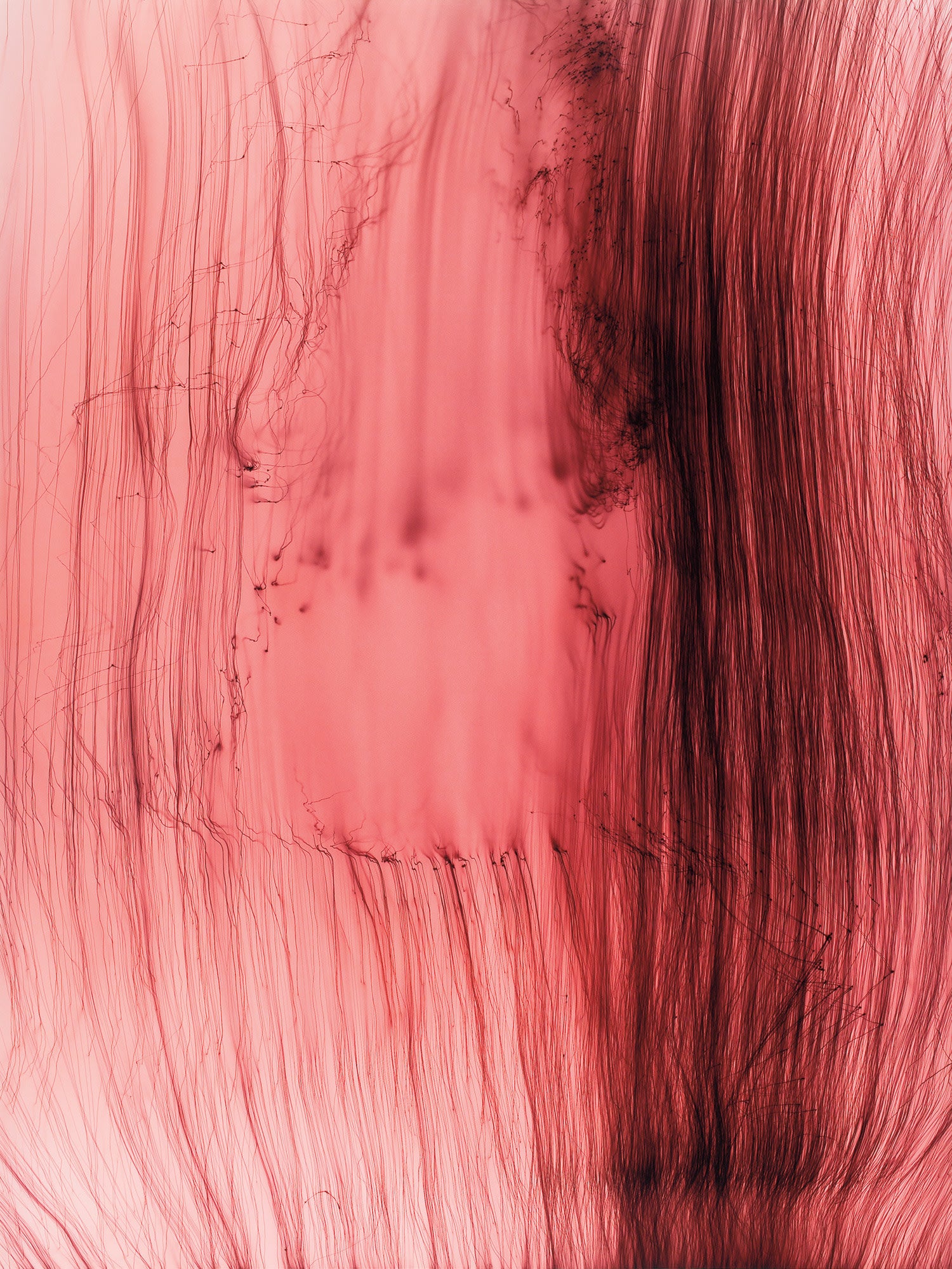 Wolfgang Tillmans 20th Century & Contemporary Art Evening Sale