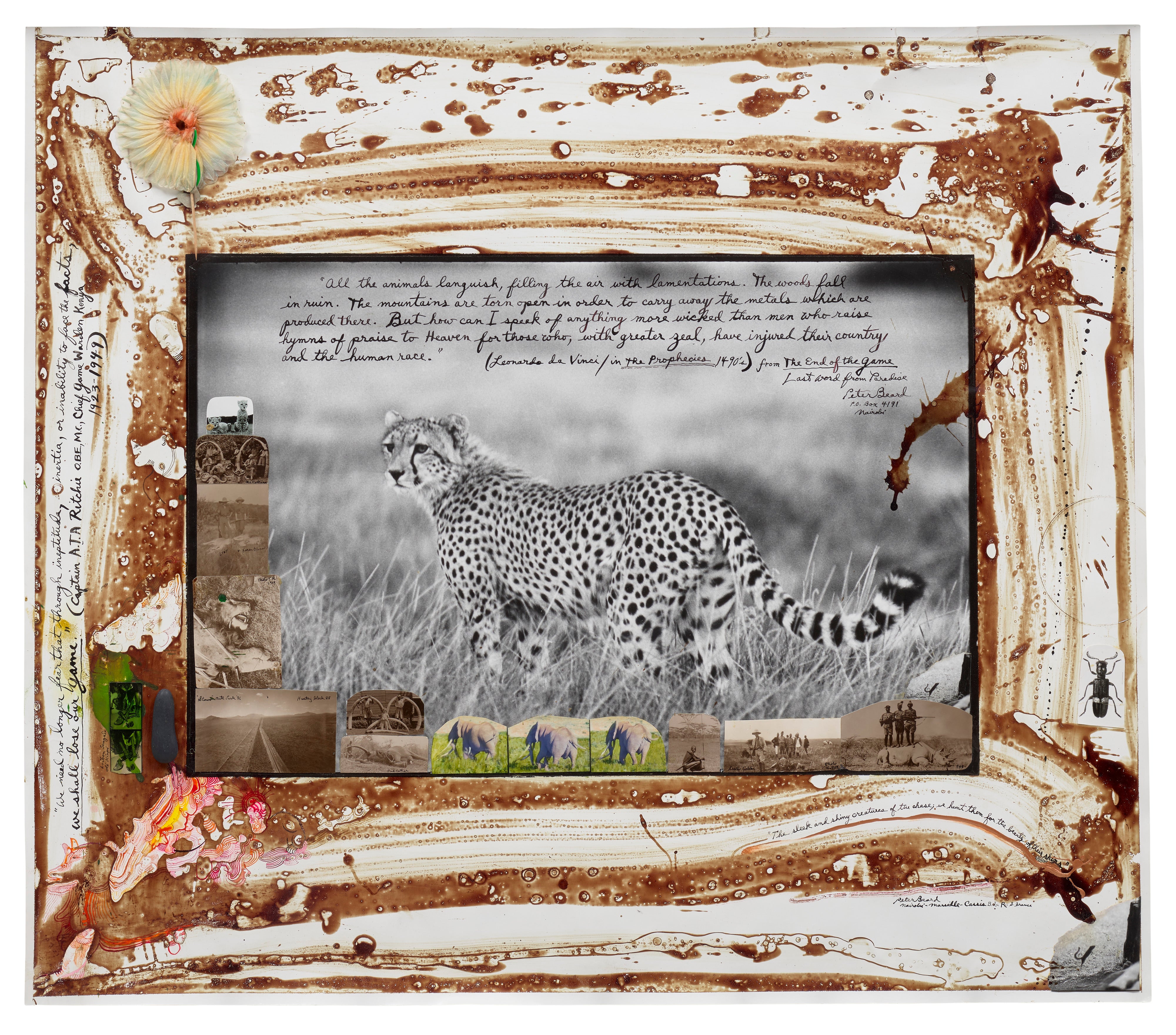 Peter Beard: Works for Sale, Upcoming Auctions & Past Results