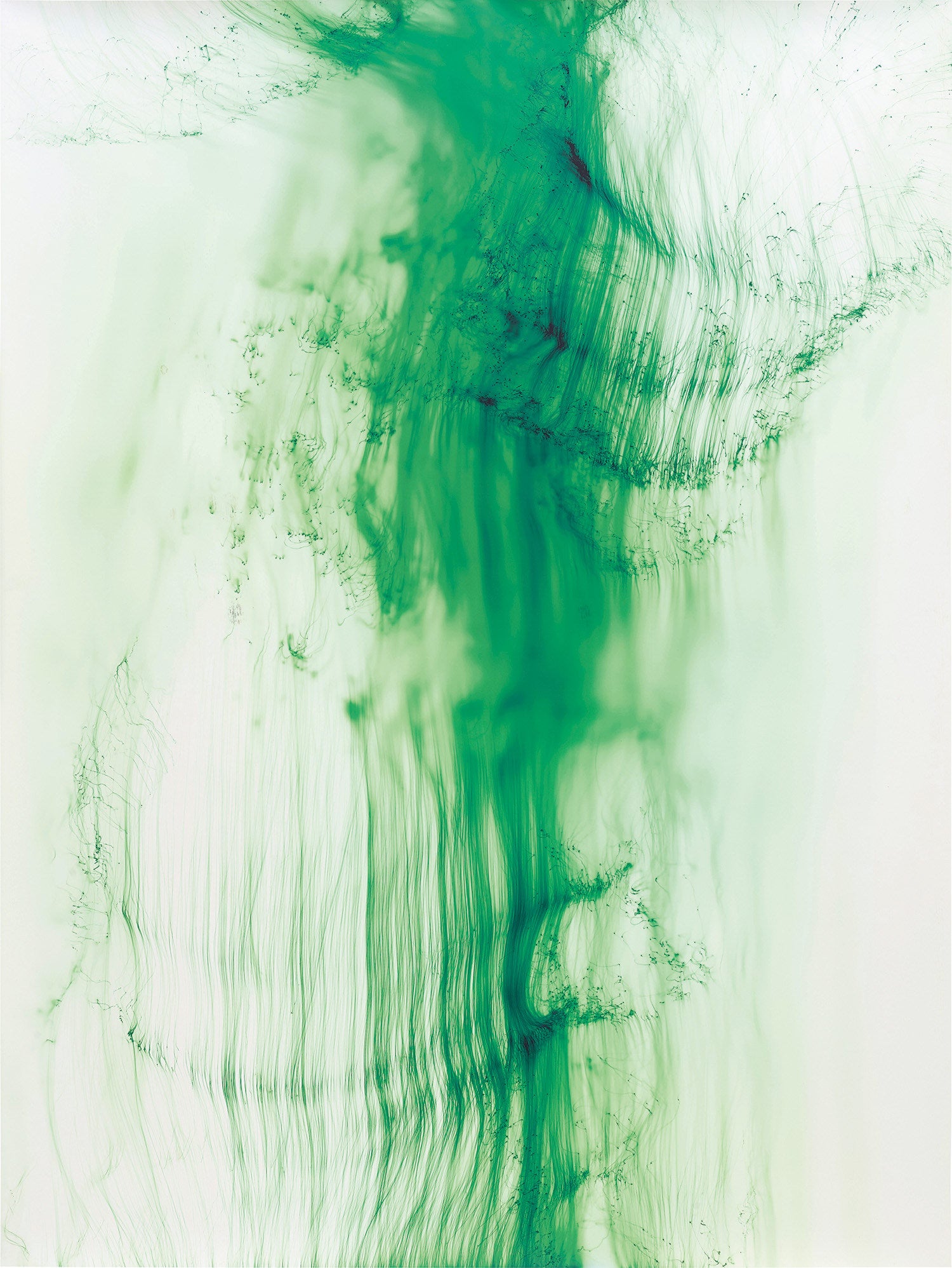 Wolfgang Tillmans 20th Century & Contemporary Art Day Sale