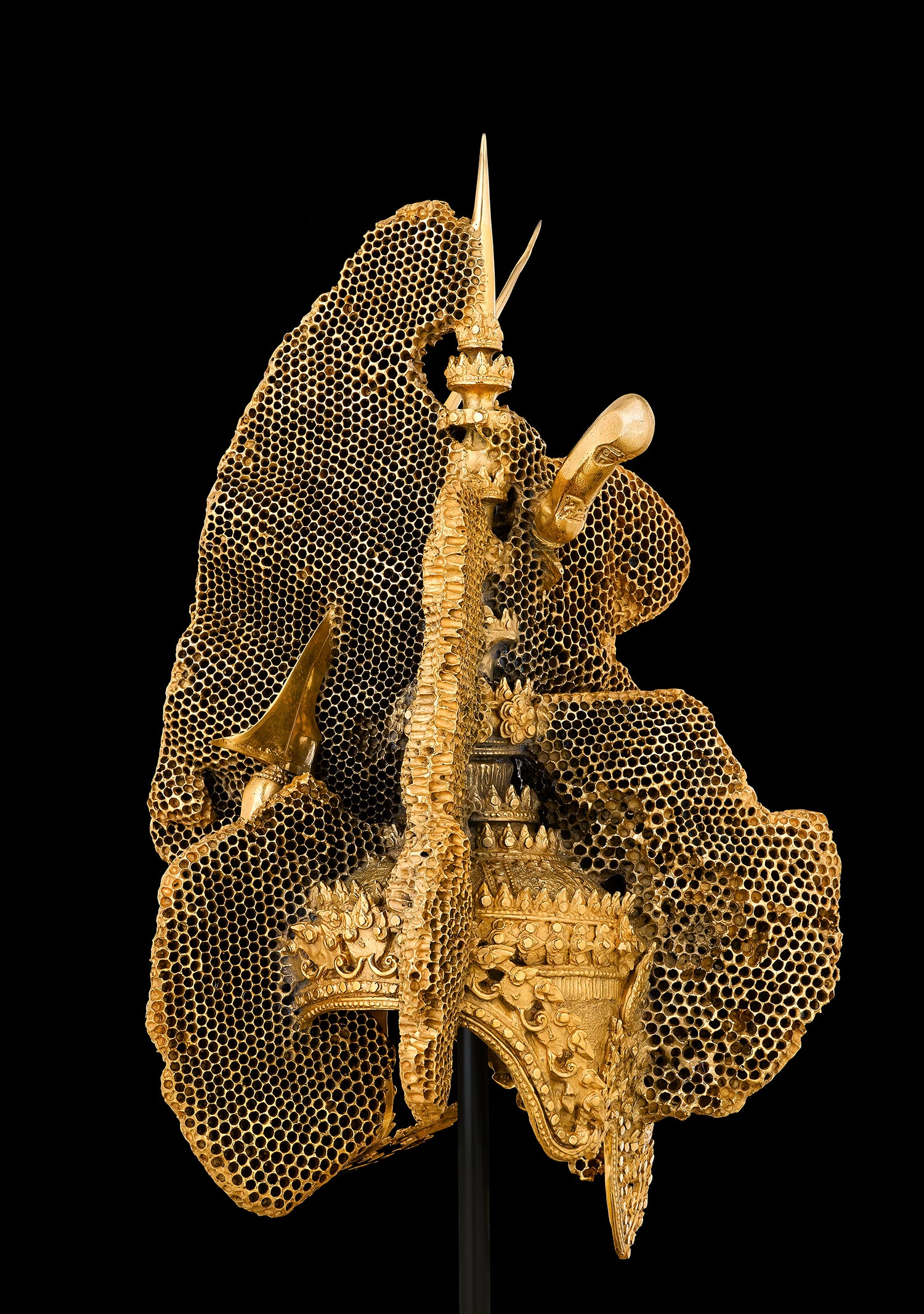 Crown in Petrified Honeycomb with Two Daggers