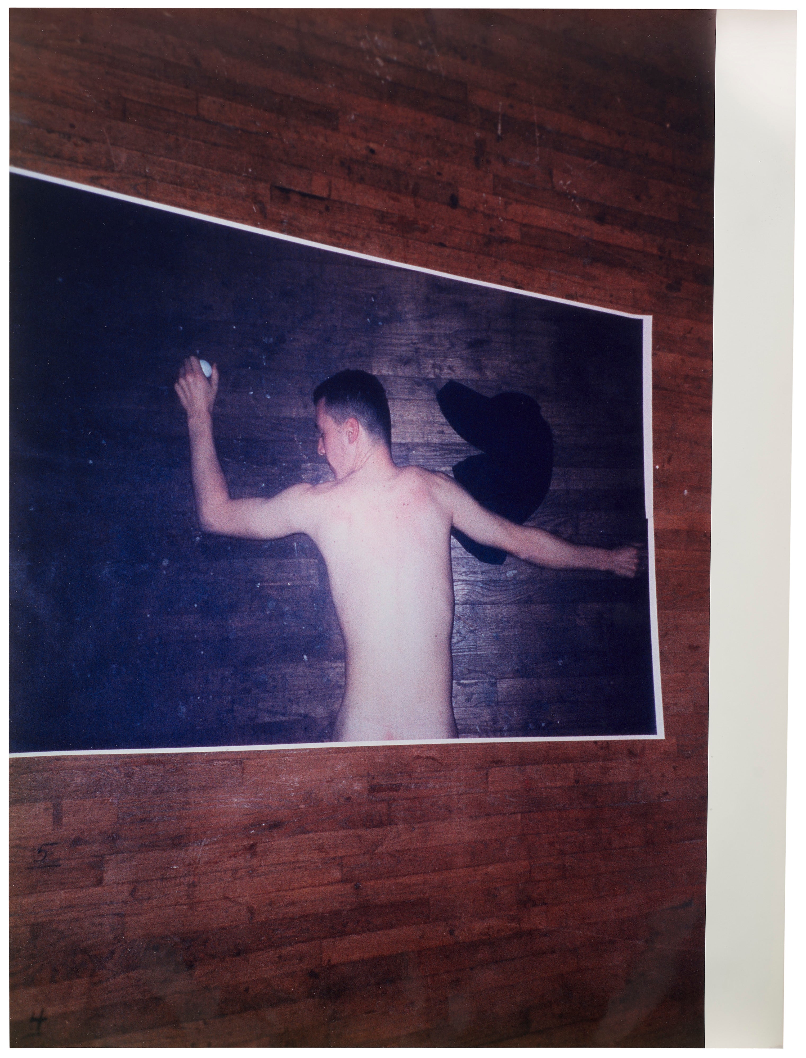 Wolfgang Tillmans: Works for Sale, Upcoming Auctions & Past Results