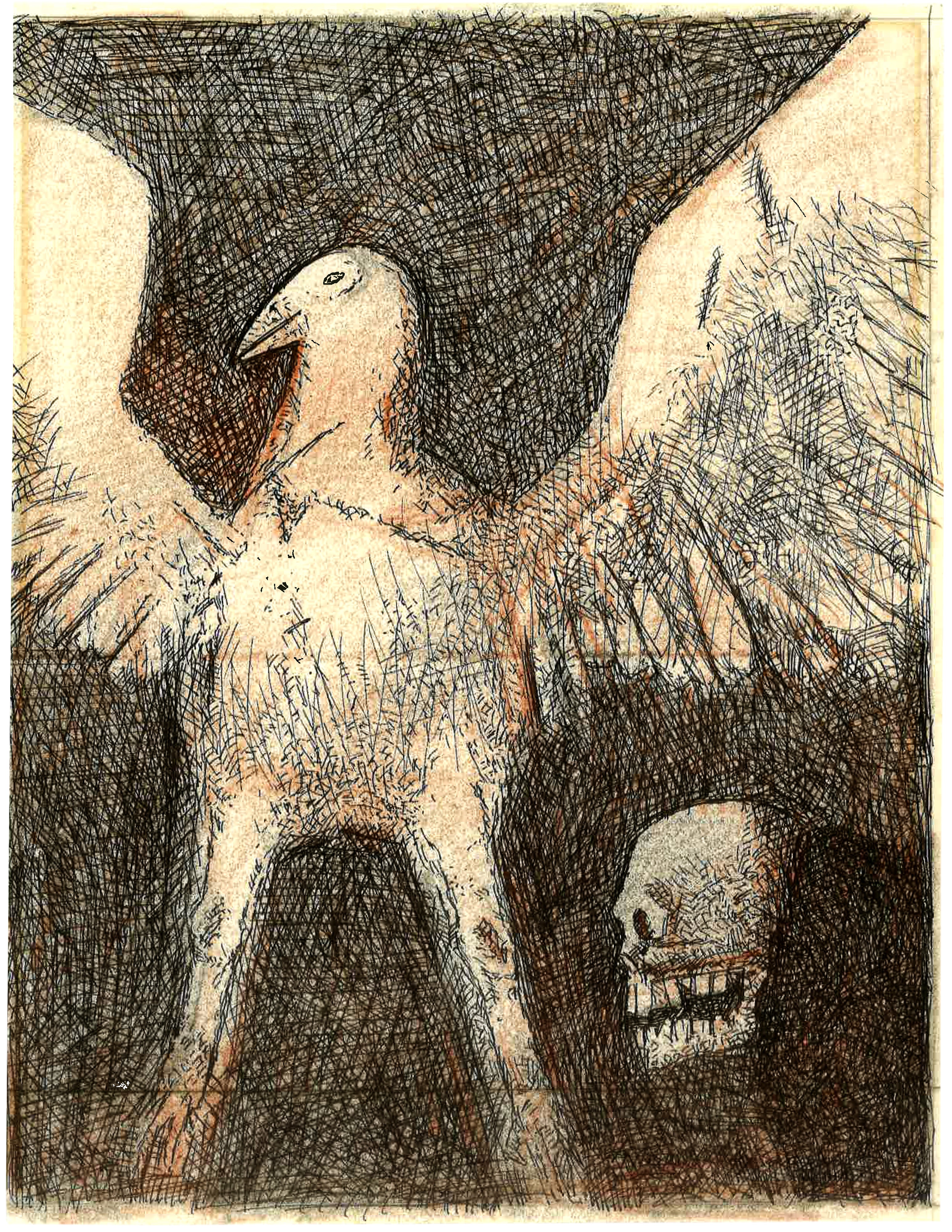 The Wings