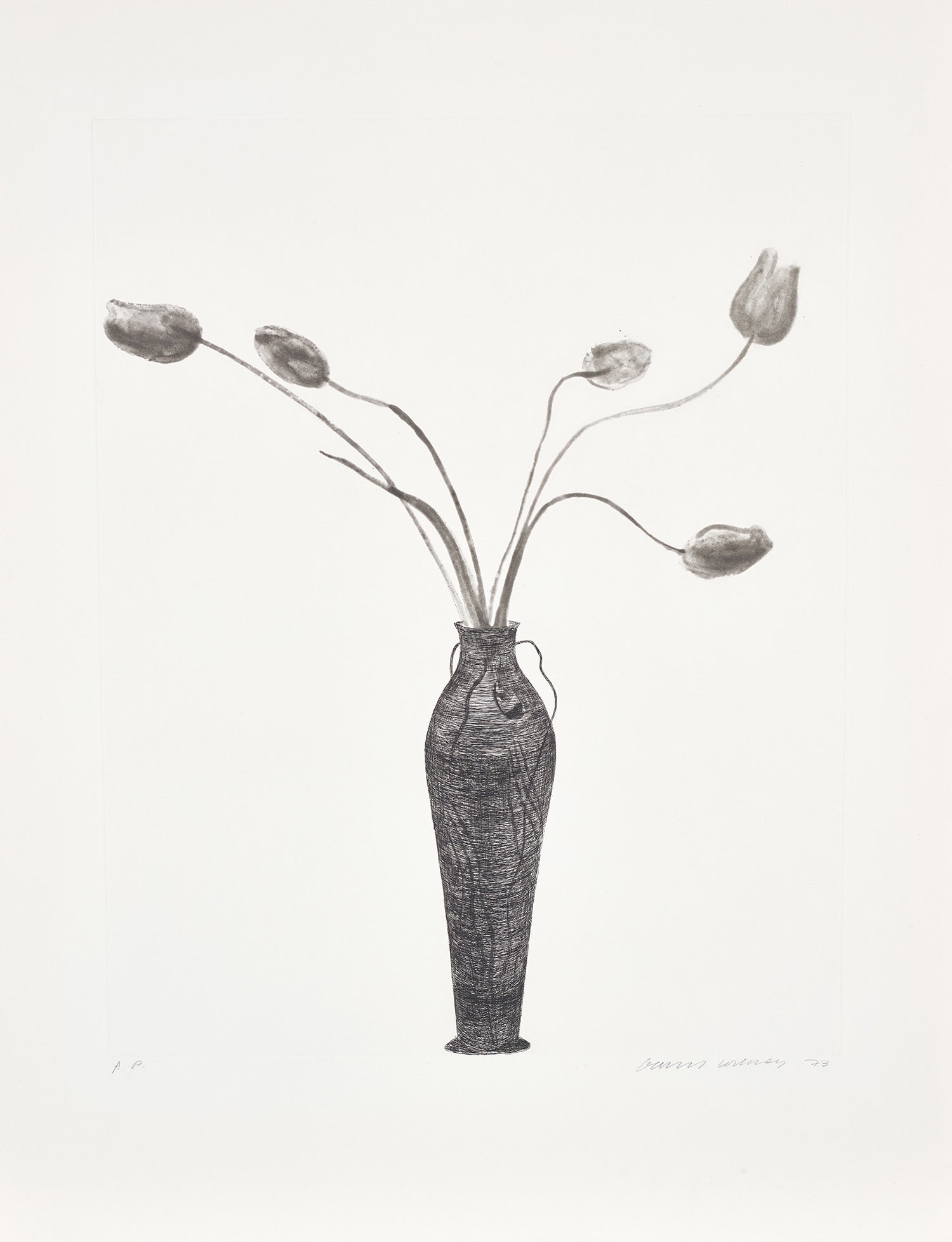 Tulips (S.A.C. 158, M.C.A.T. 142)