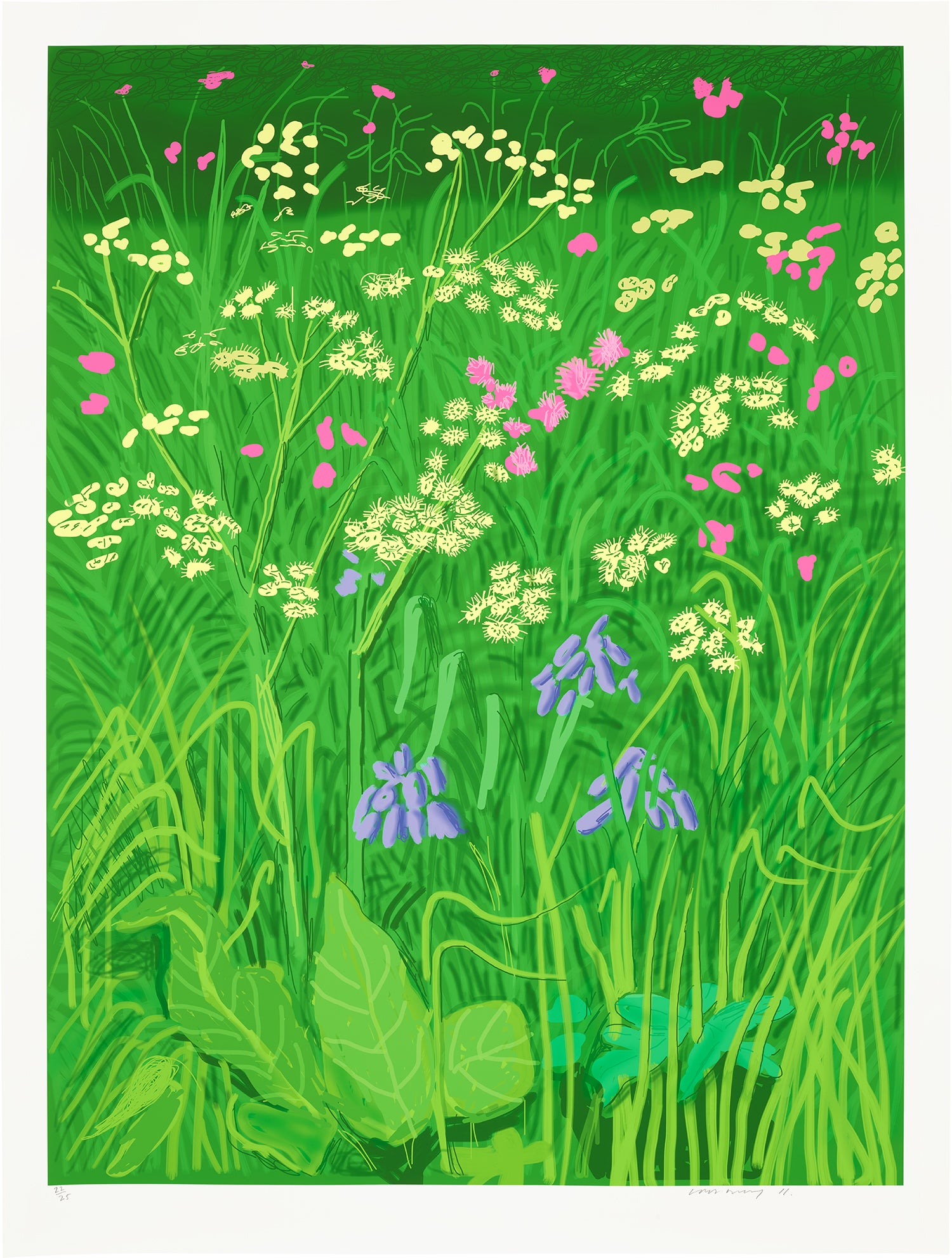 The Arrival of Spring in Woldgate, East Yorkshire in 2011 (twenty eleven) - 17 May