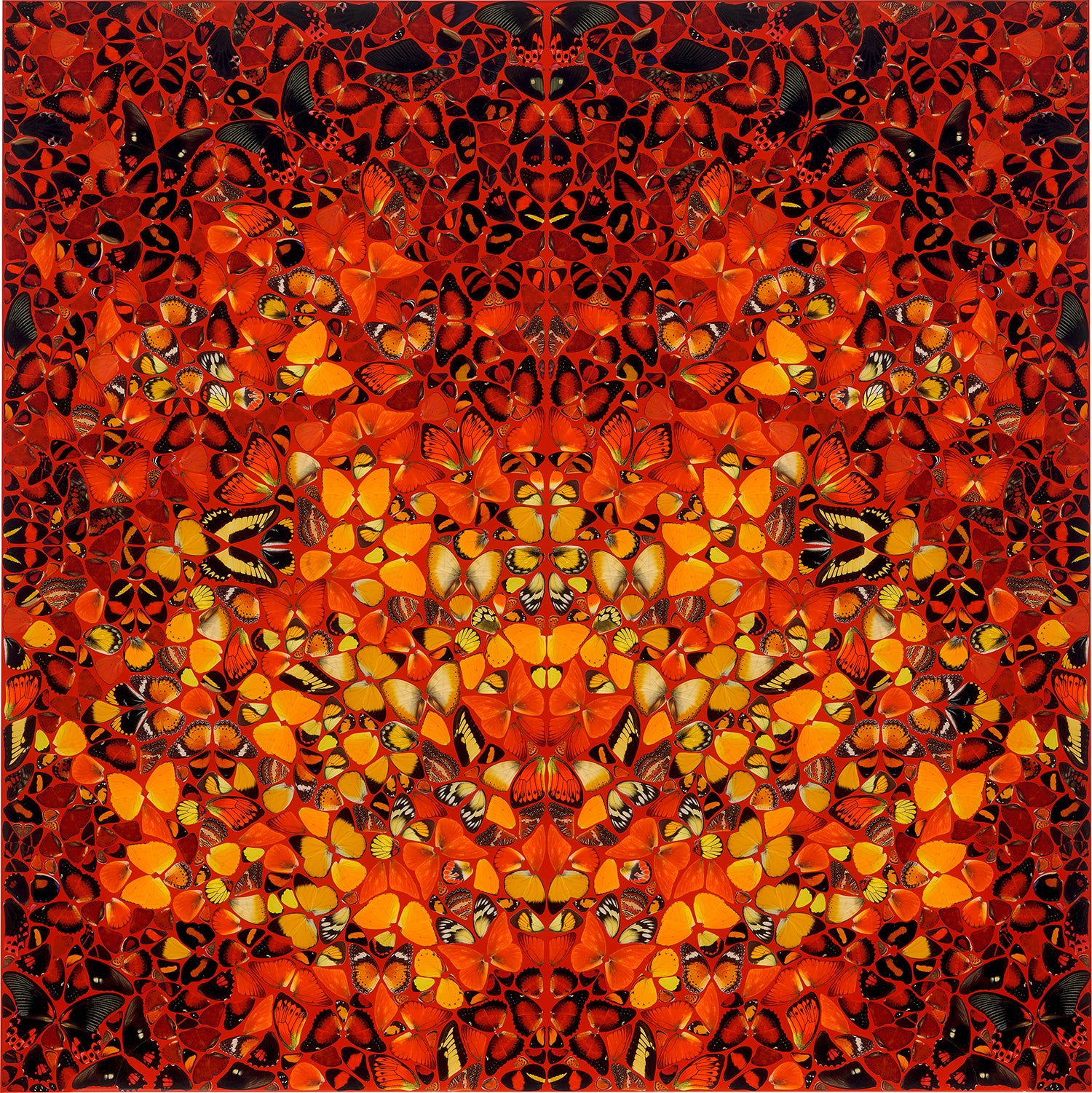 Fire, from The Elements (H6-8)