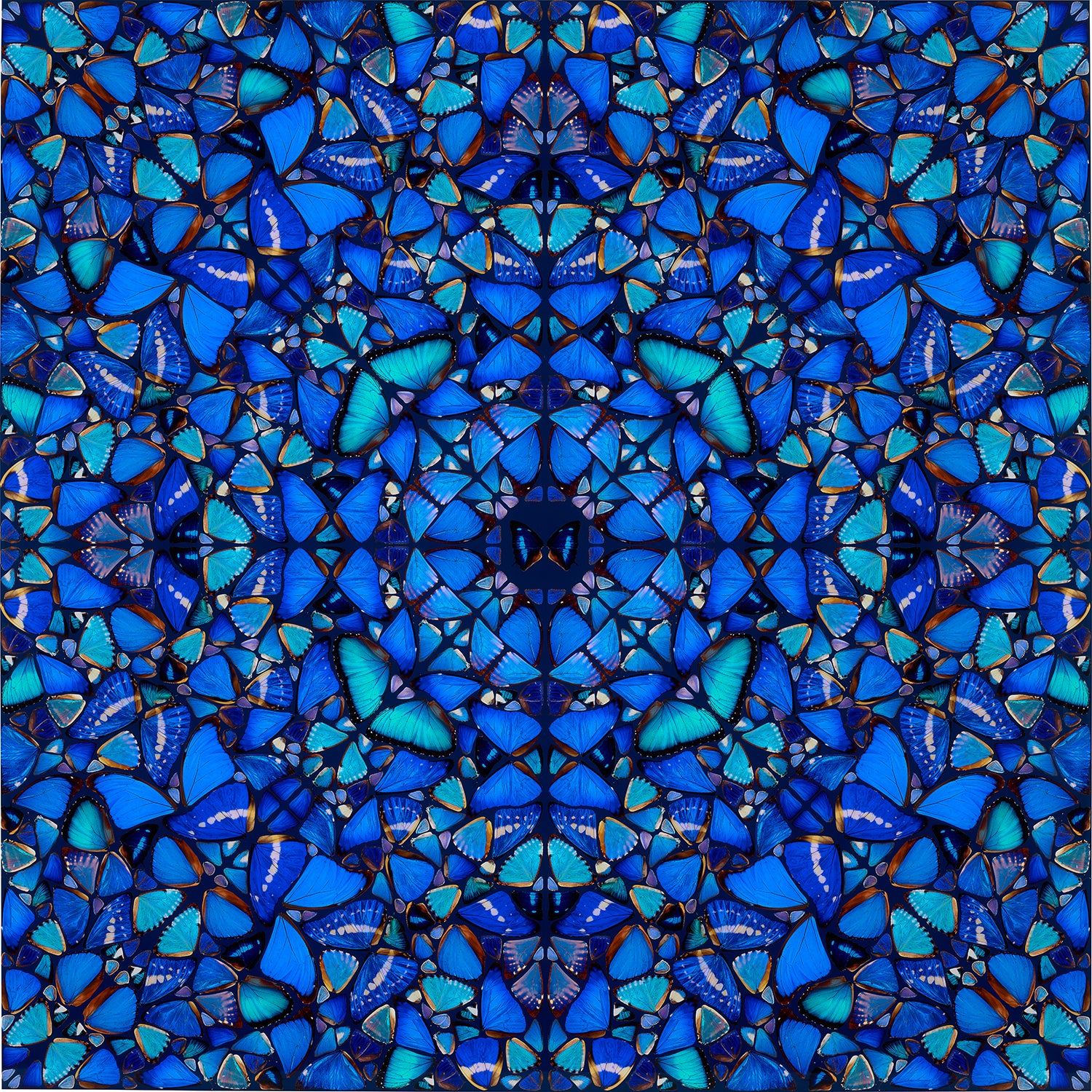 Patience, from The Aspects (H6-3)
