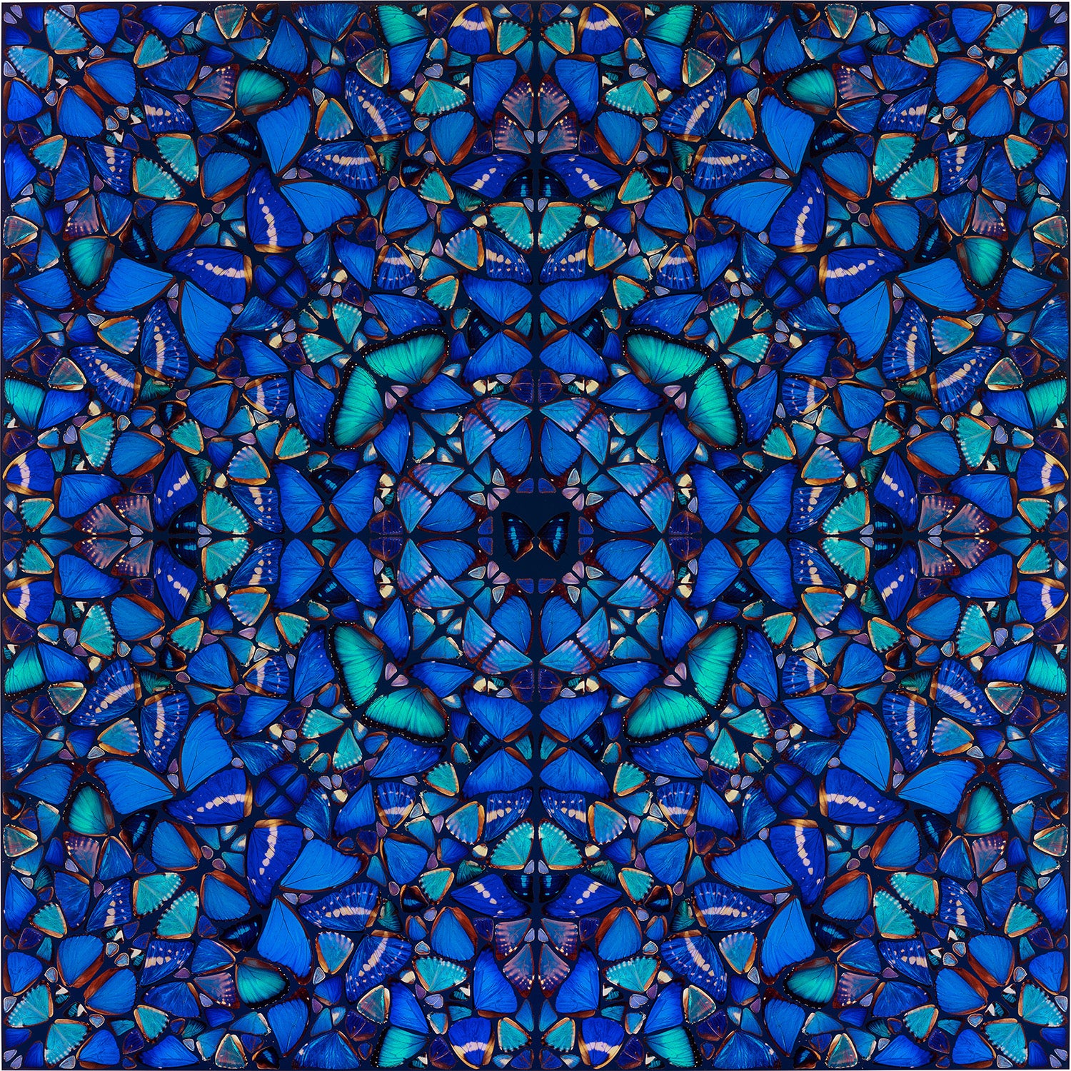 Patience, from The Aspects (H6-3)