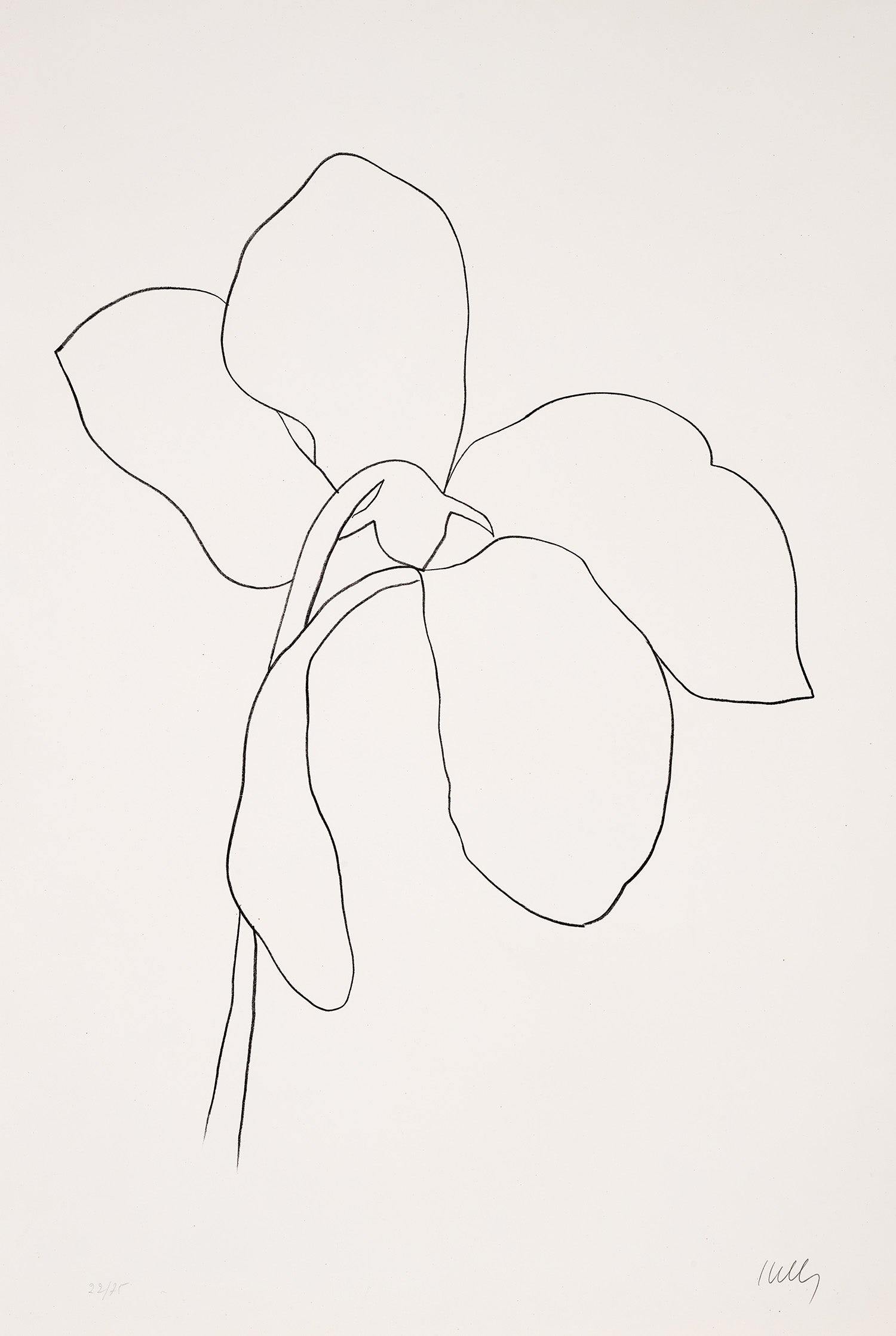 Cyclamen III, from Suite of Plant Lithographs