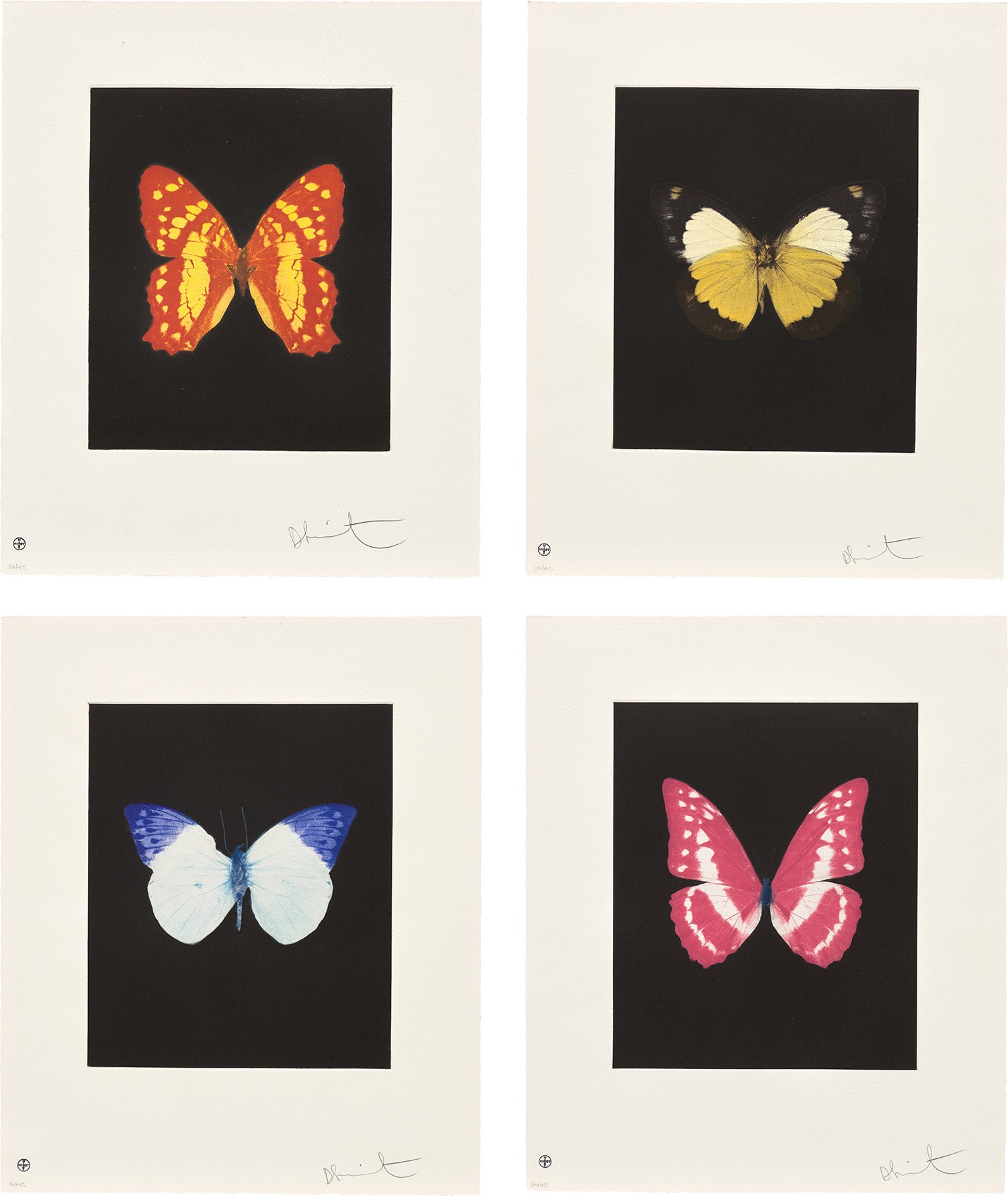 Butterfly Etchings: four plates