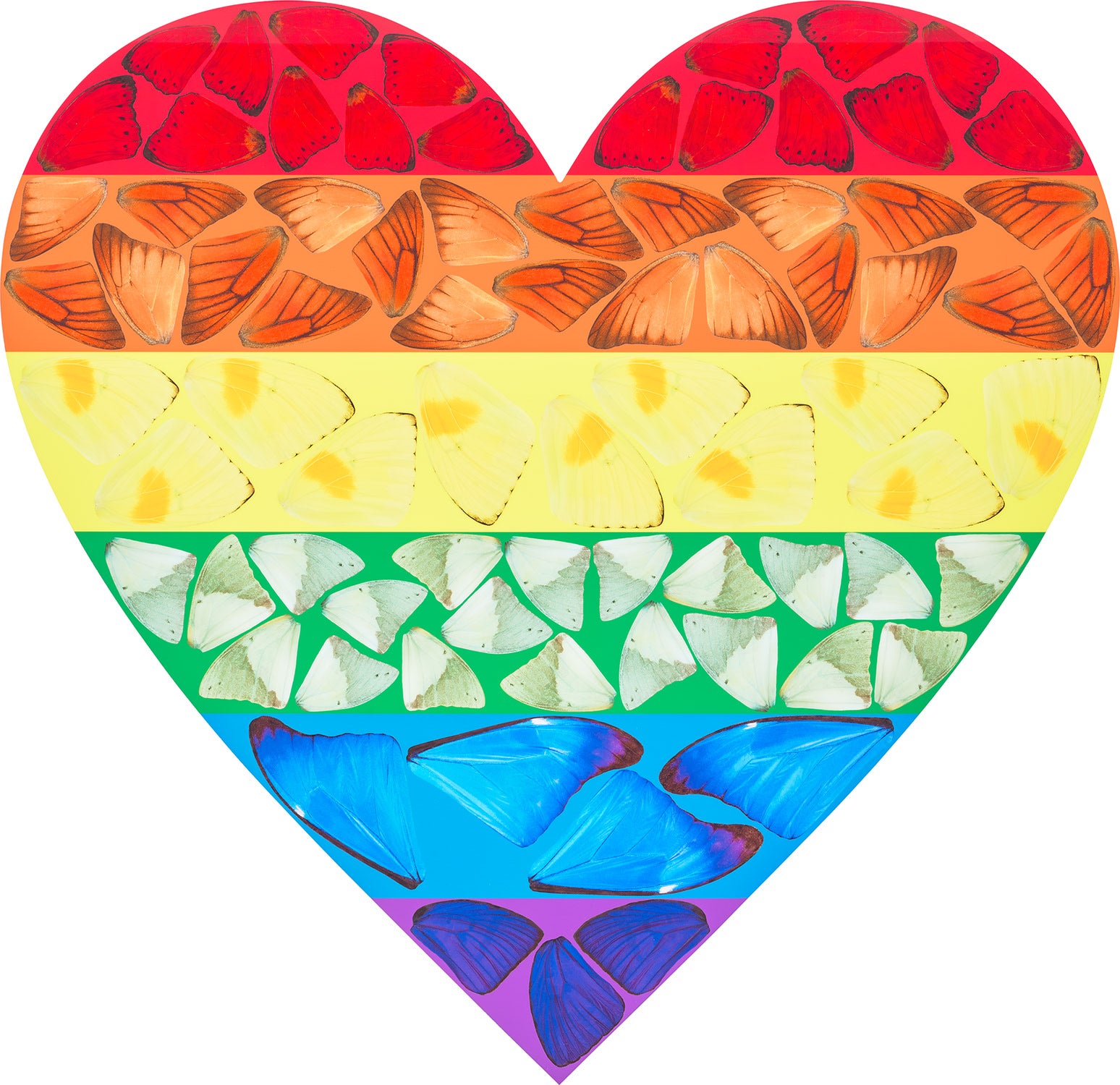 Butterfly Heart (Large) (H7-3)