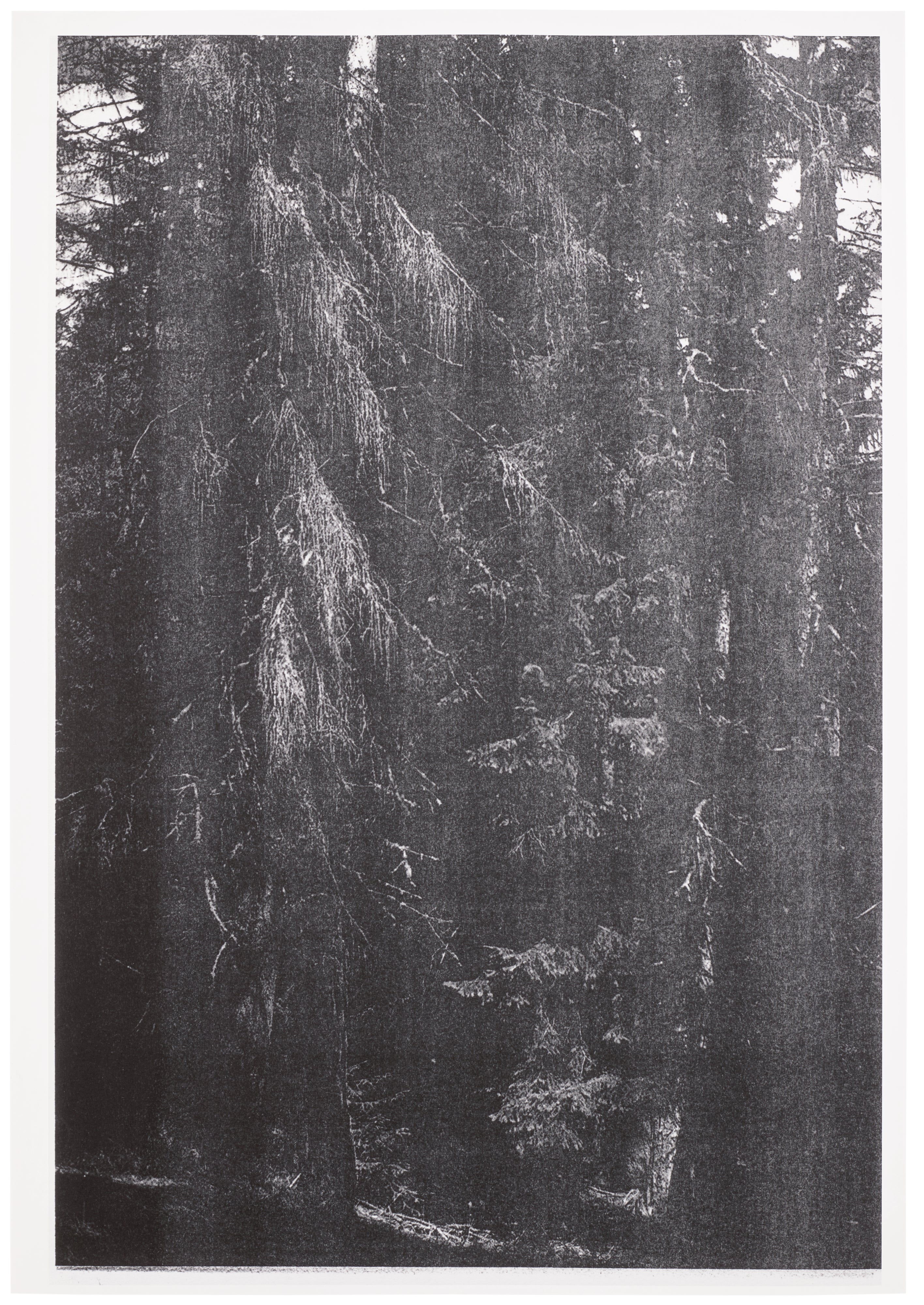 Wolfgang Tillmans: Works for Sale, Upcoming Auctions & Past Results