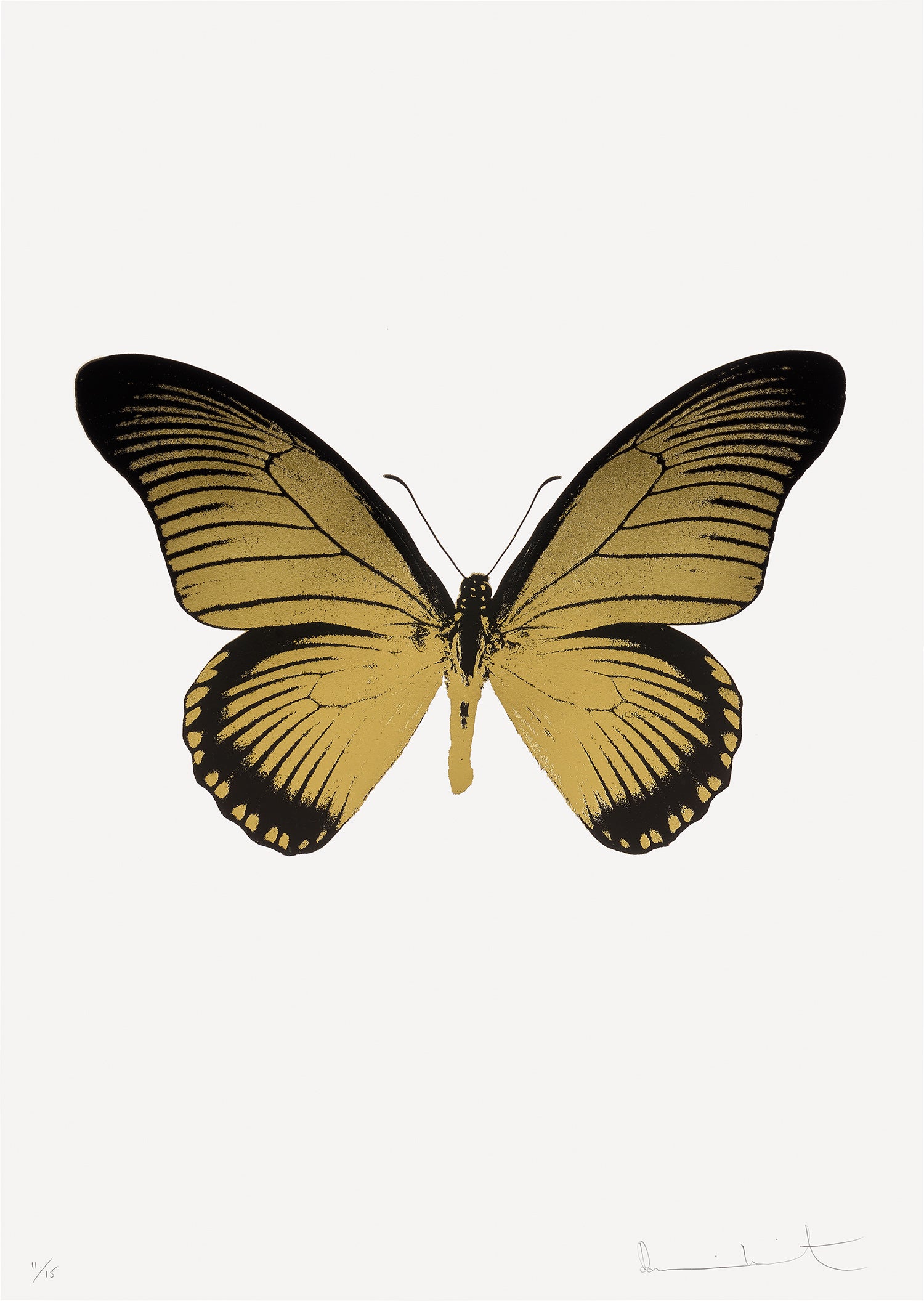 Damien Hirst Damien Hirst: Online Auction