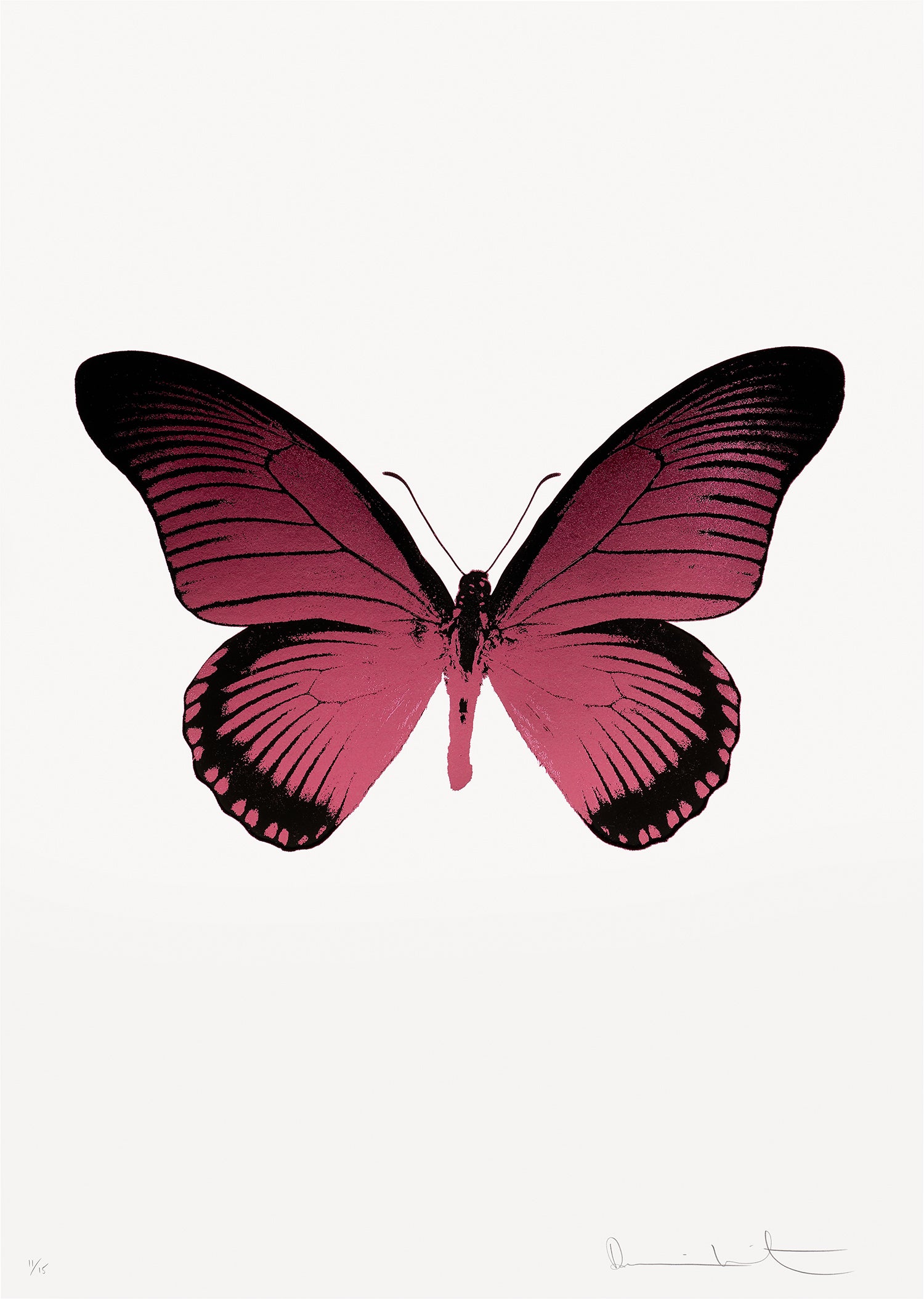 [2010] ダミアン・ハースト POISON + REMEDIES *レア* Damien Hirst Damien Hirst: Online Auction