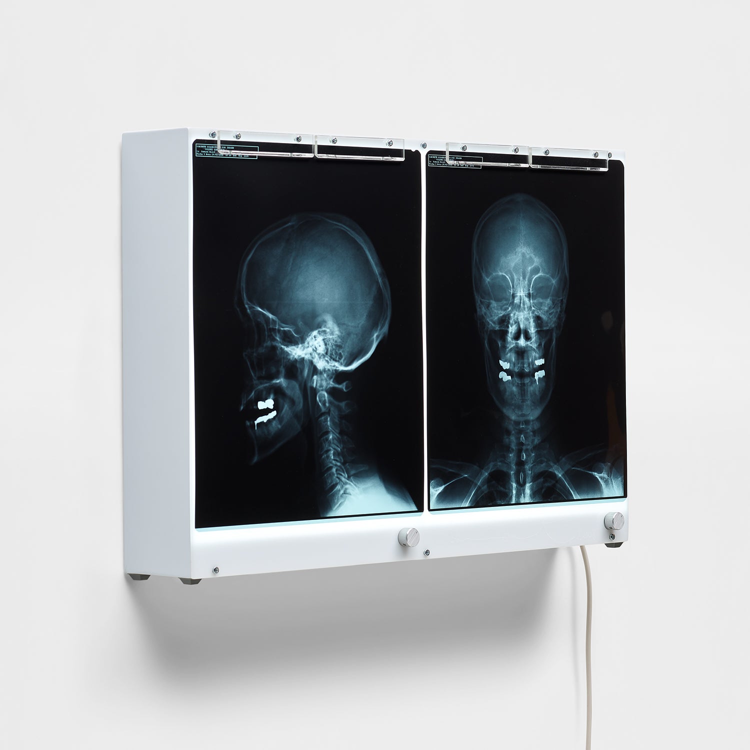 Damien Hirst Damien Hirst: Online Auction