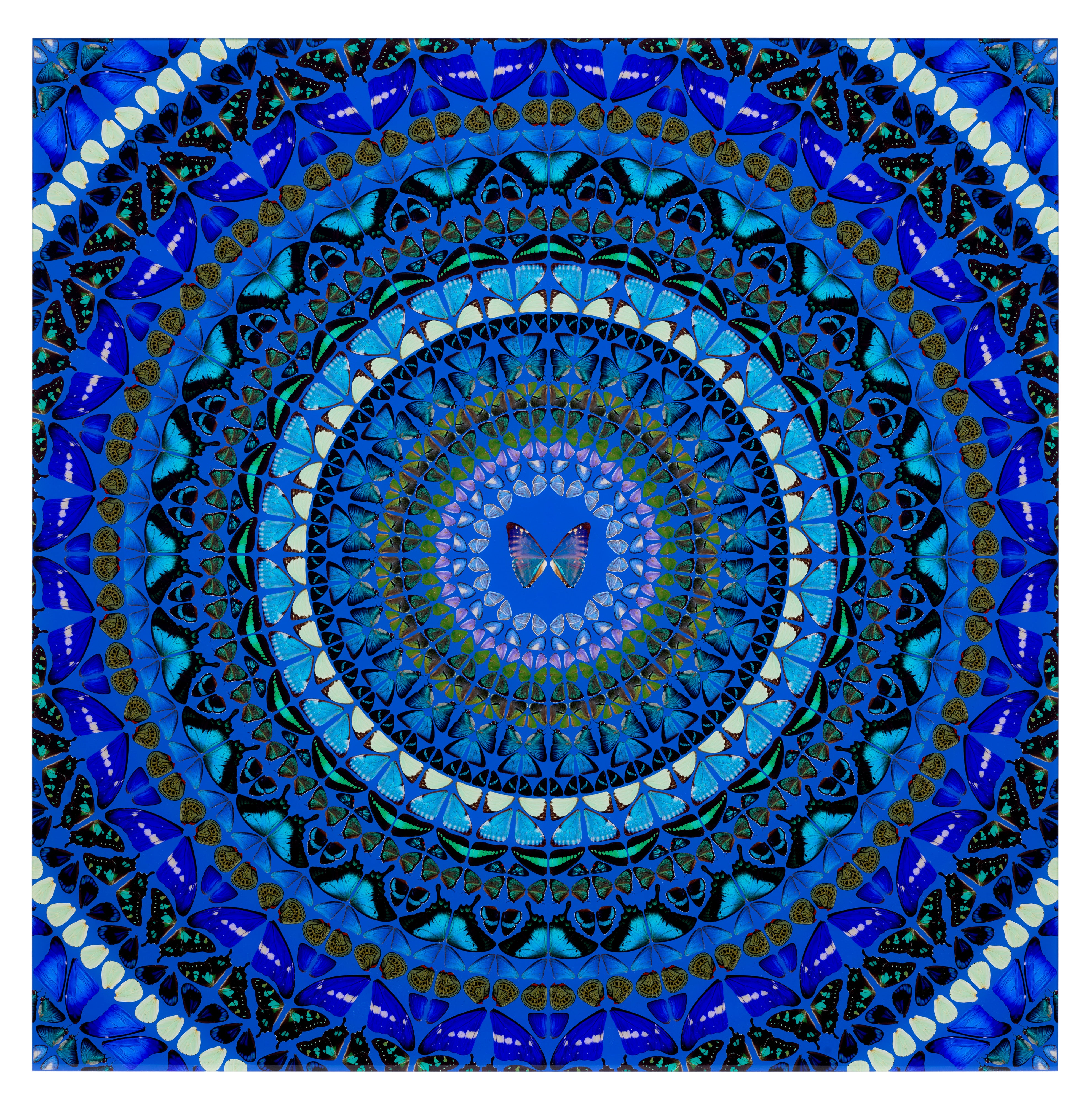 Water, from The Elements (H6-9)