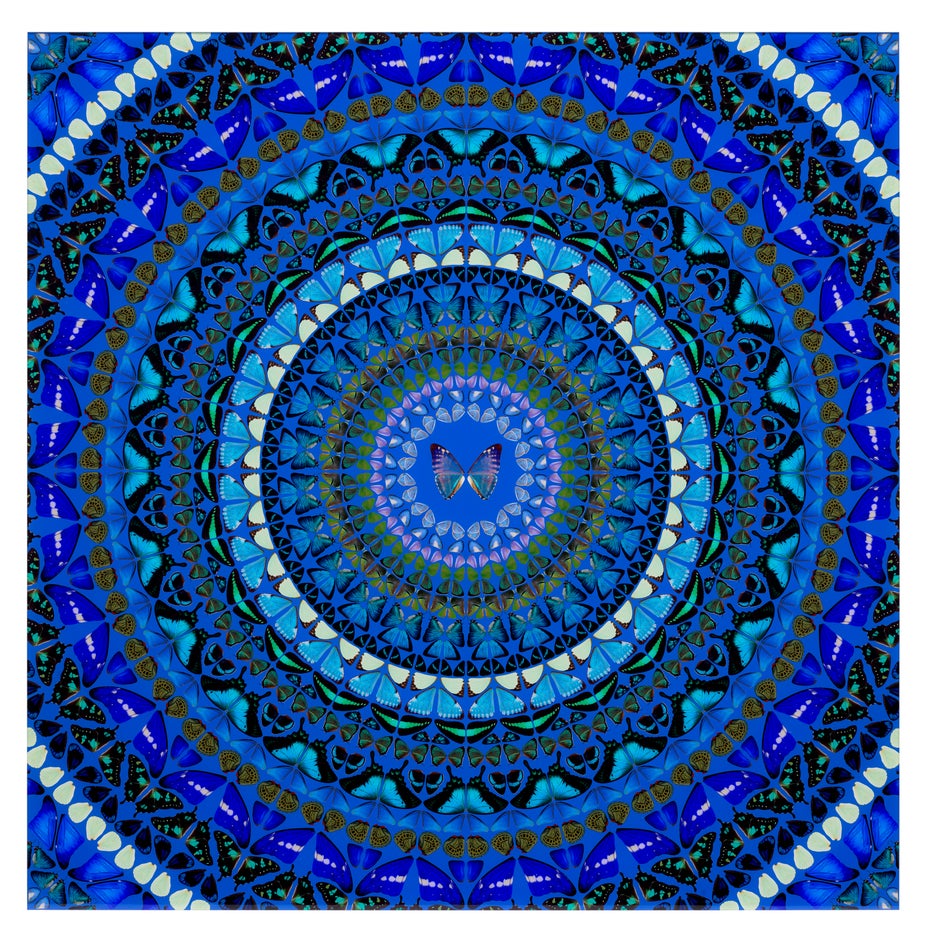Lot 1