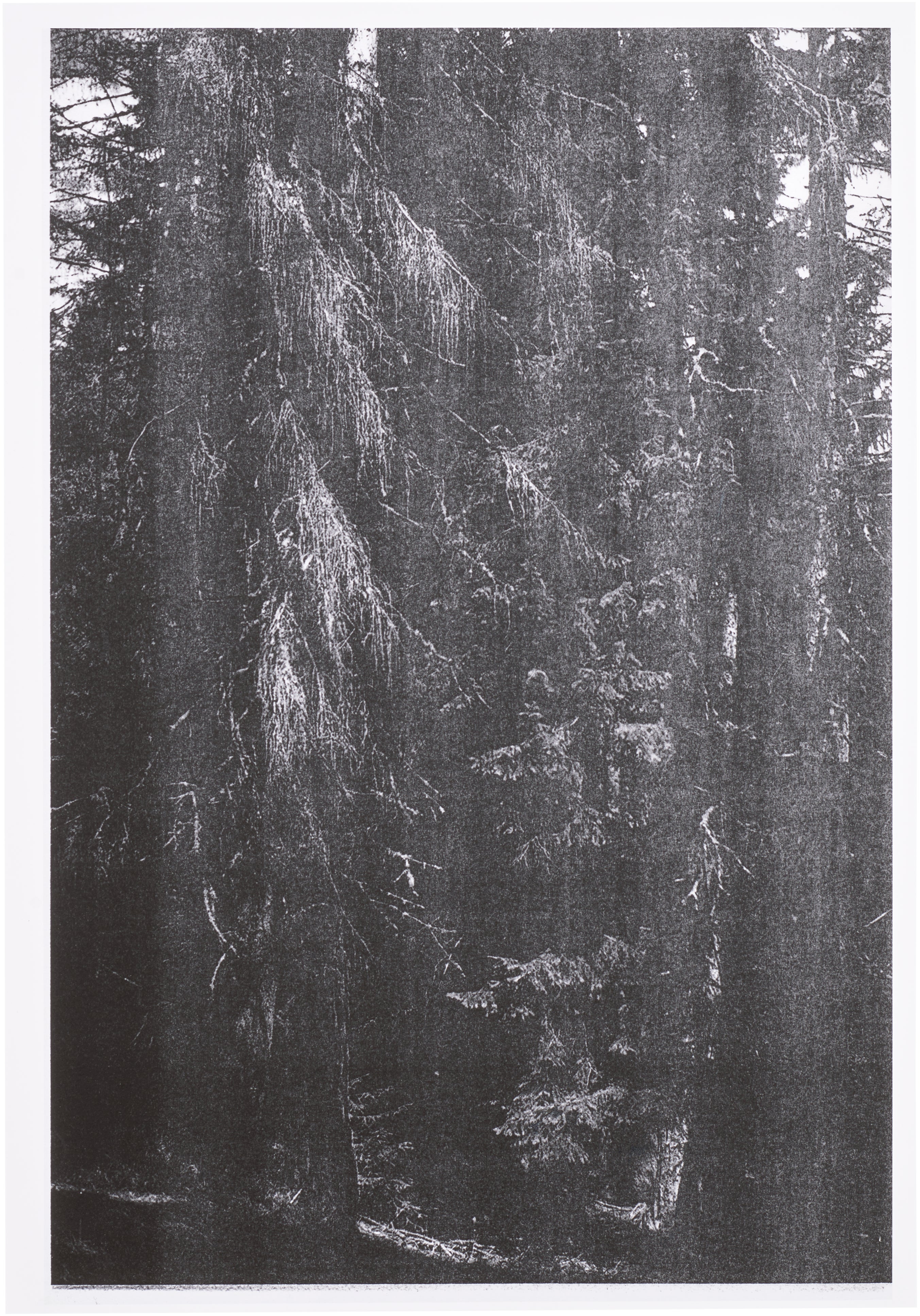 Wolfgang Tillmans: Works for Sale, Upcoming Auctions & Past Results