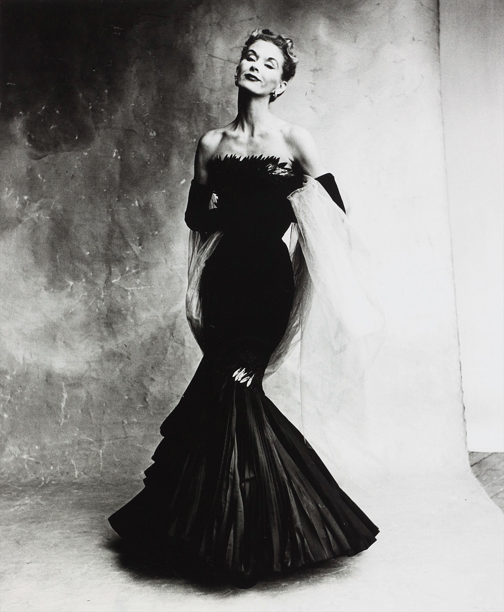 Irving Penn Photographs