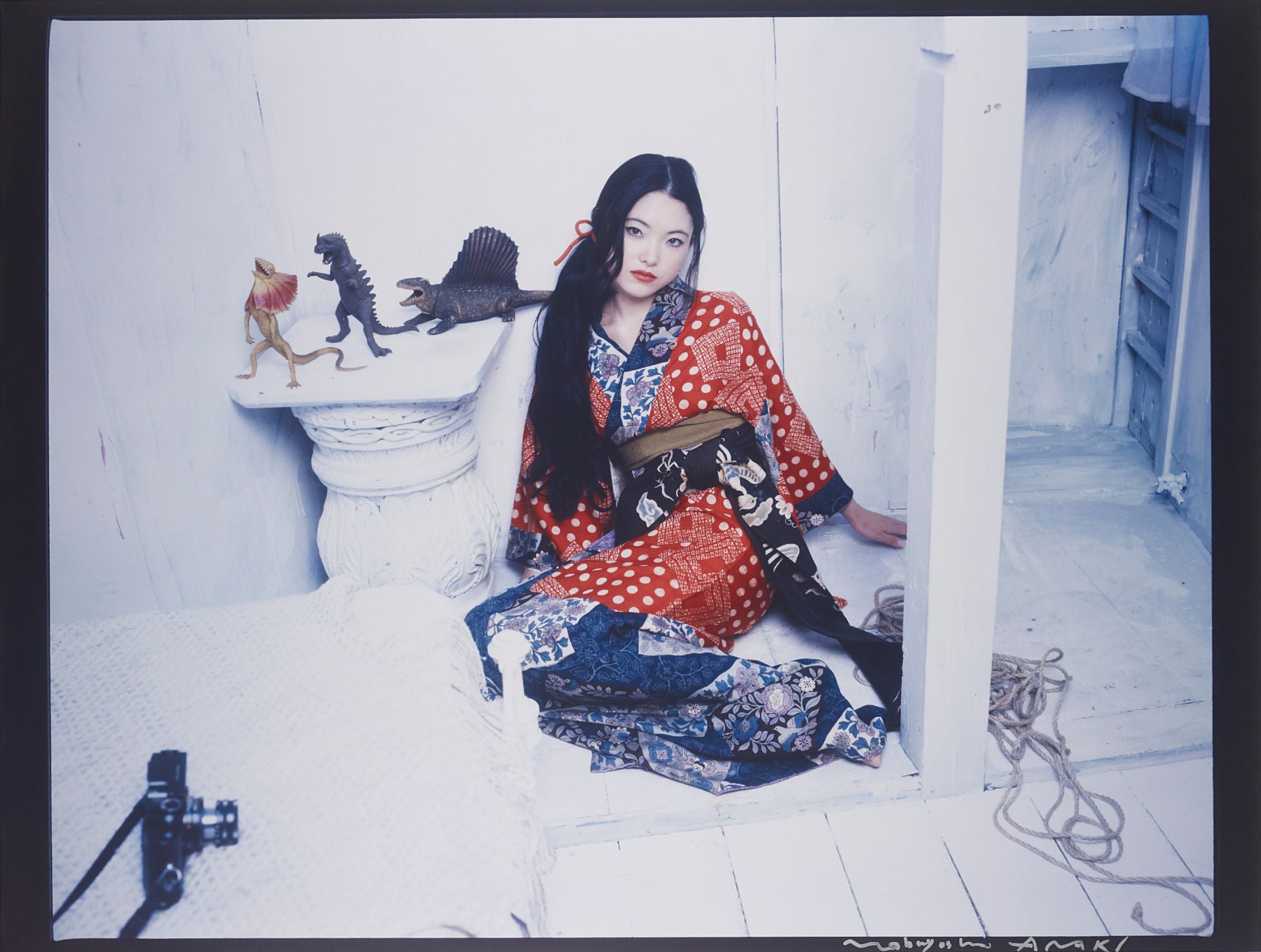 荒木経惟 Nobuyoshi Araki Photographs