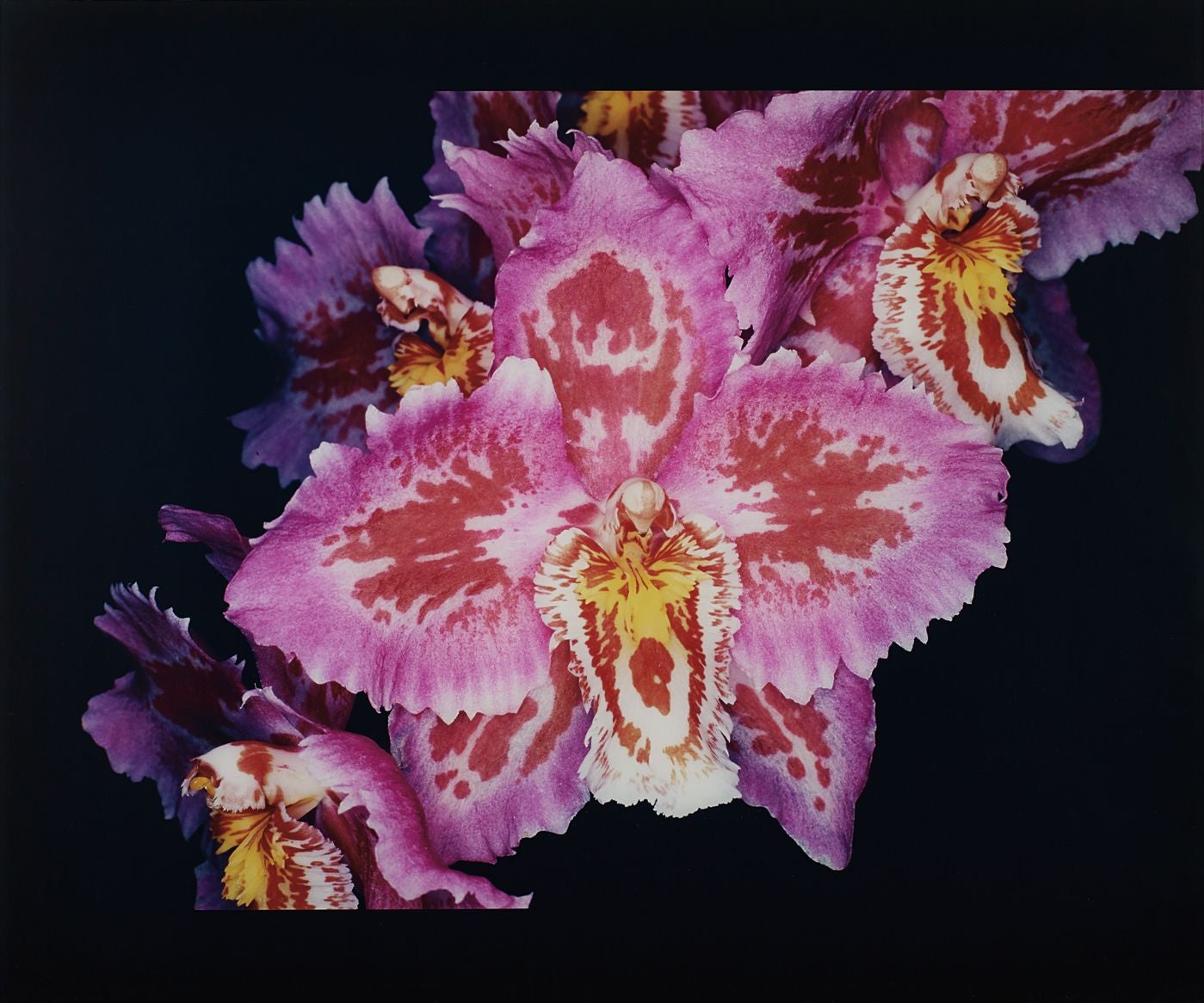 Miroslav Tichý Photographs