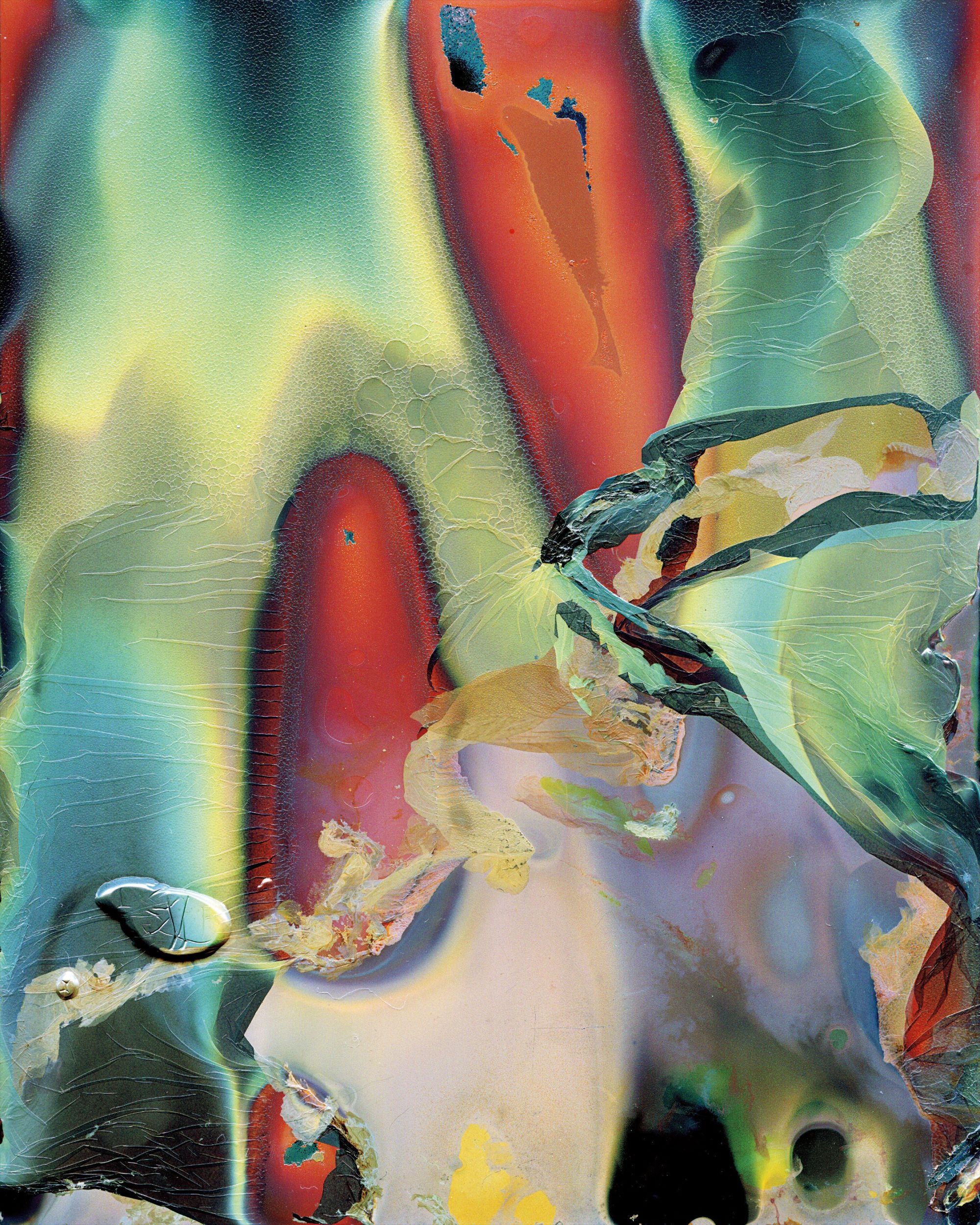 CORPUS 横田大輔　Daisuke Yokota CORPUS Daisuke Yokota 横田大輔 写真集 署名本 signed - 古本買取 2手