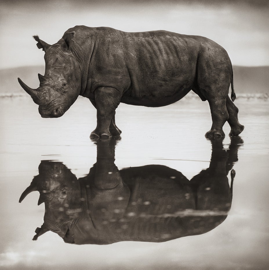 Brought to you by Phillips