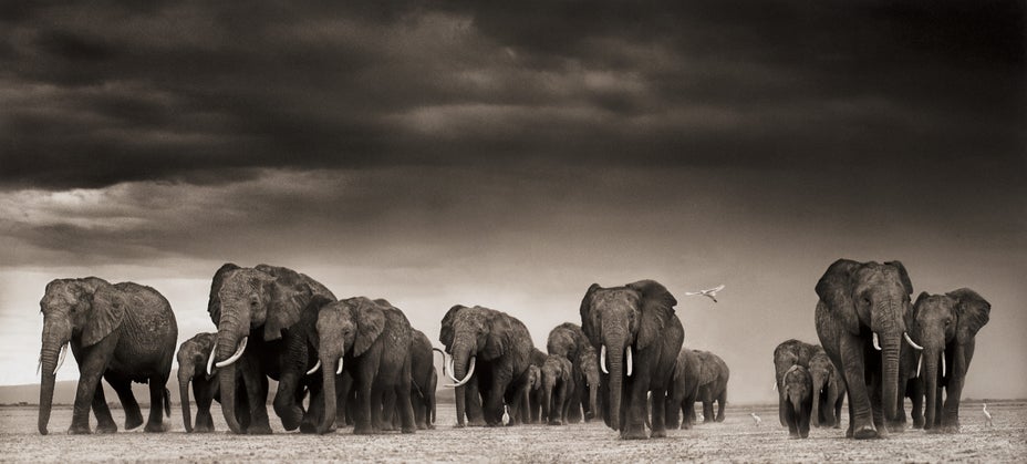 Brought to you by Phillips