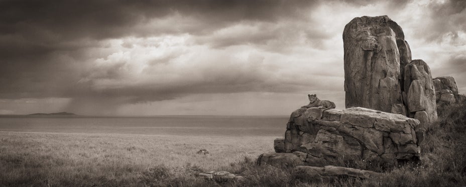 Brought to you by Phillips