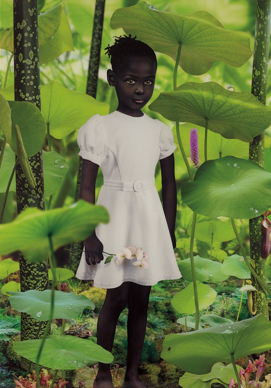 Brought to you by Phillips