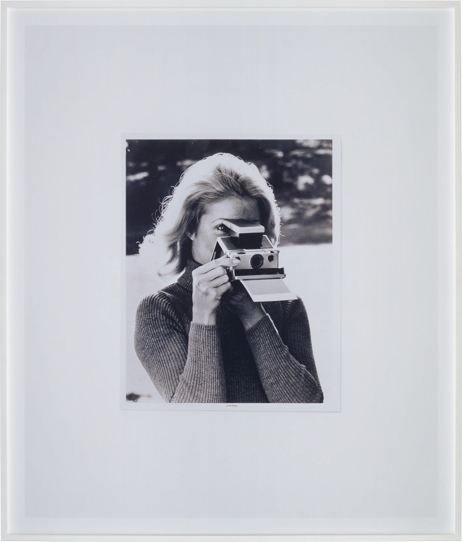 Anne Collier Photographs