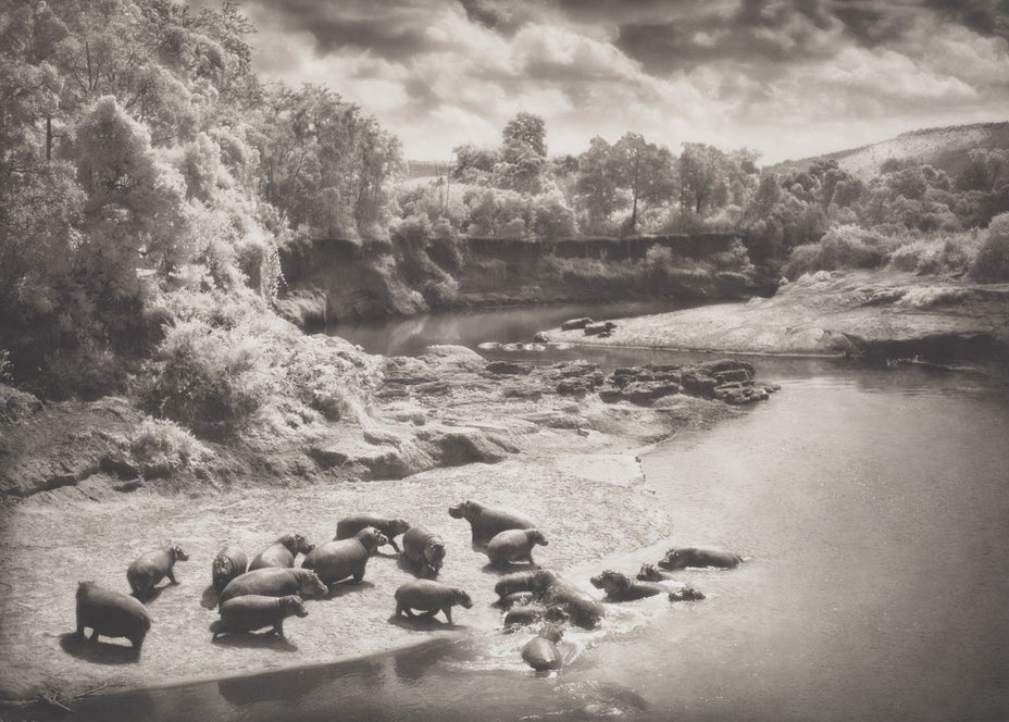 Brought to you by Phillips