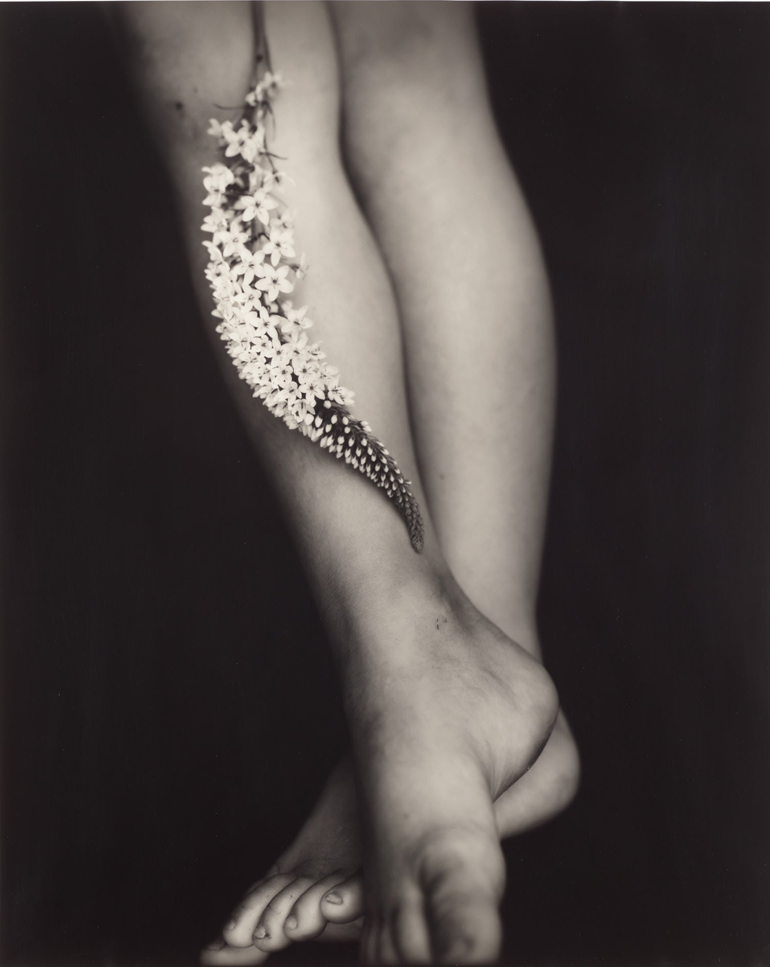 【A Thousand Crossings 】サリー・マン★大幅に値下げしました Sally Mann Photographs