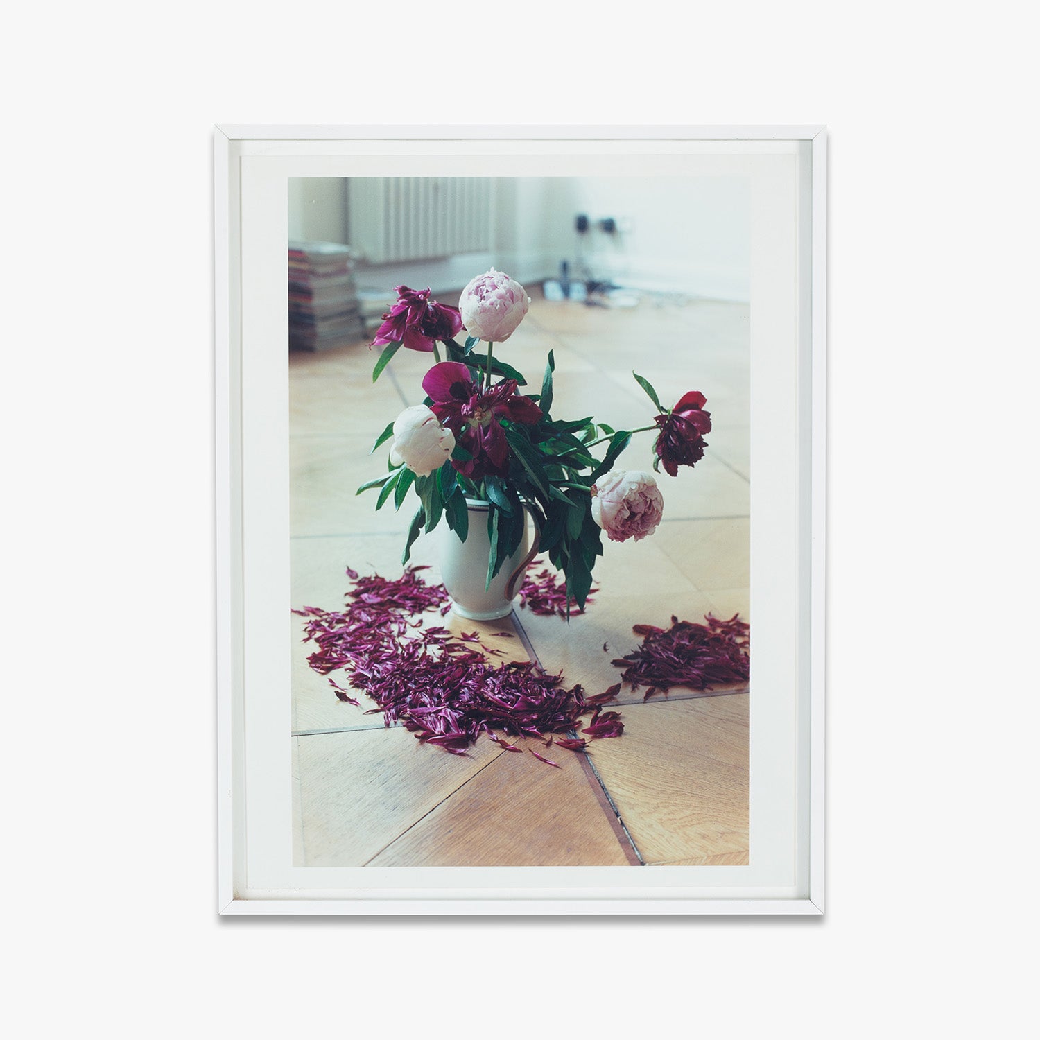 Wolfgang Tillmans Photographs