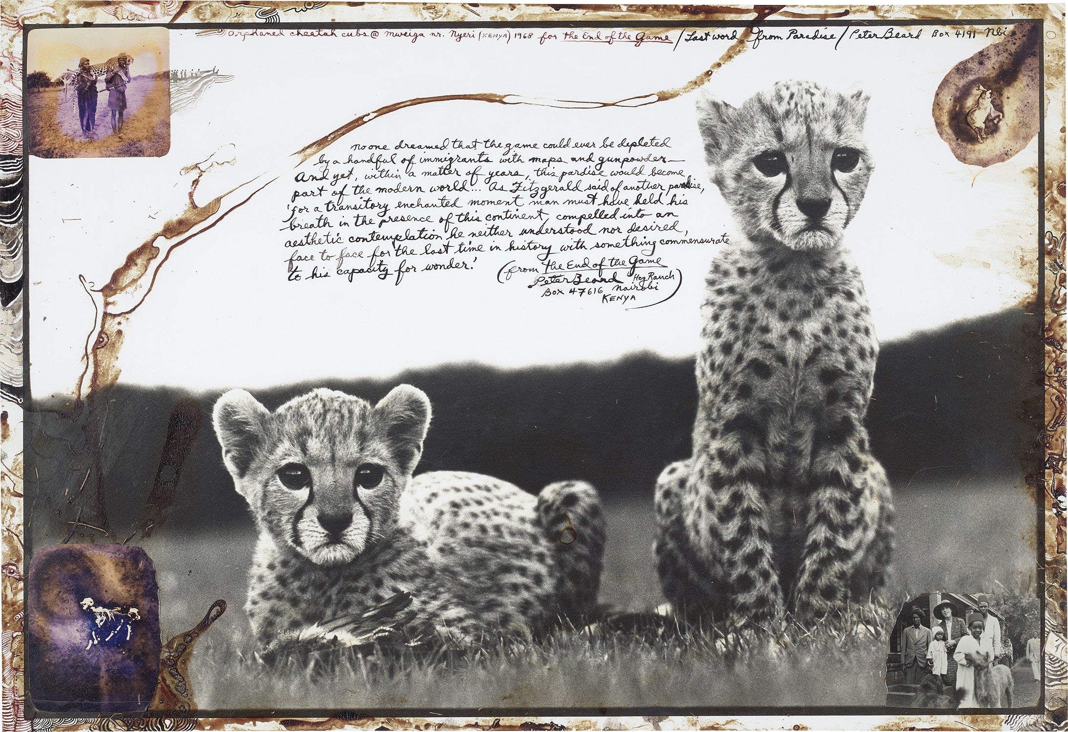 Peter Beard Photographs