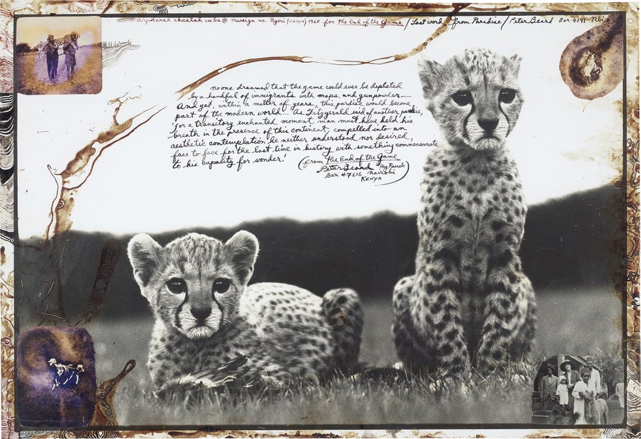 Brought to you by Phillips