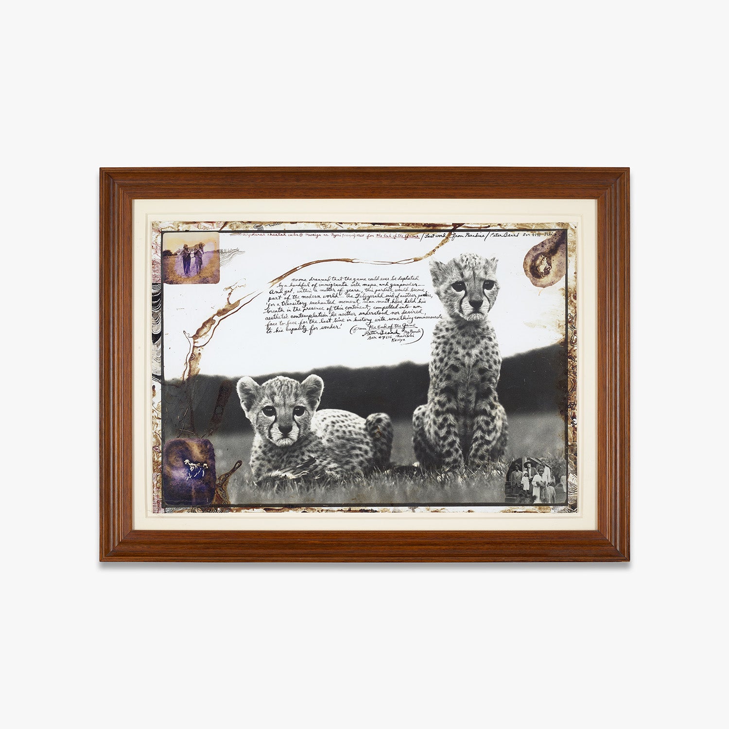 Peter Beard Photographs