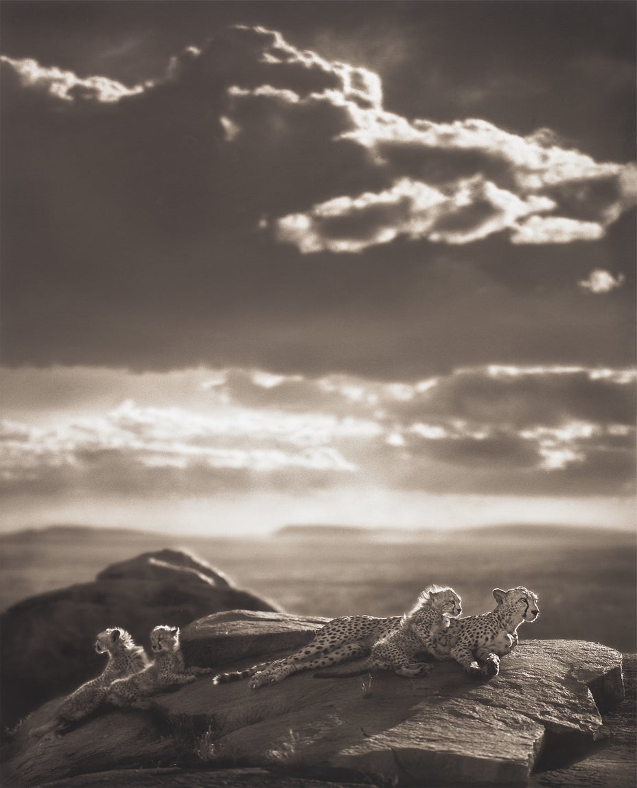 Brought to you by Phillips