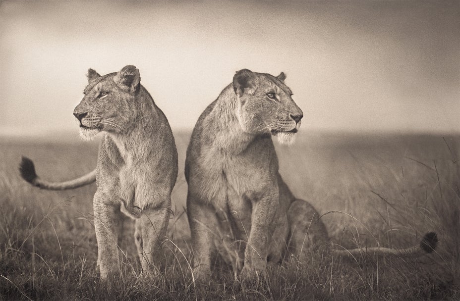 Brought to you by Phillips