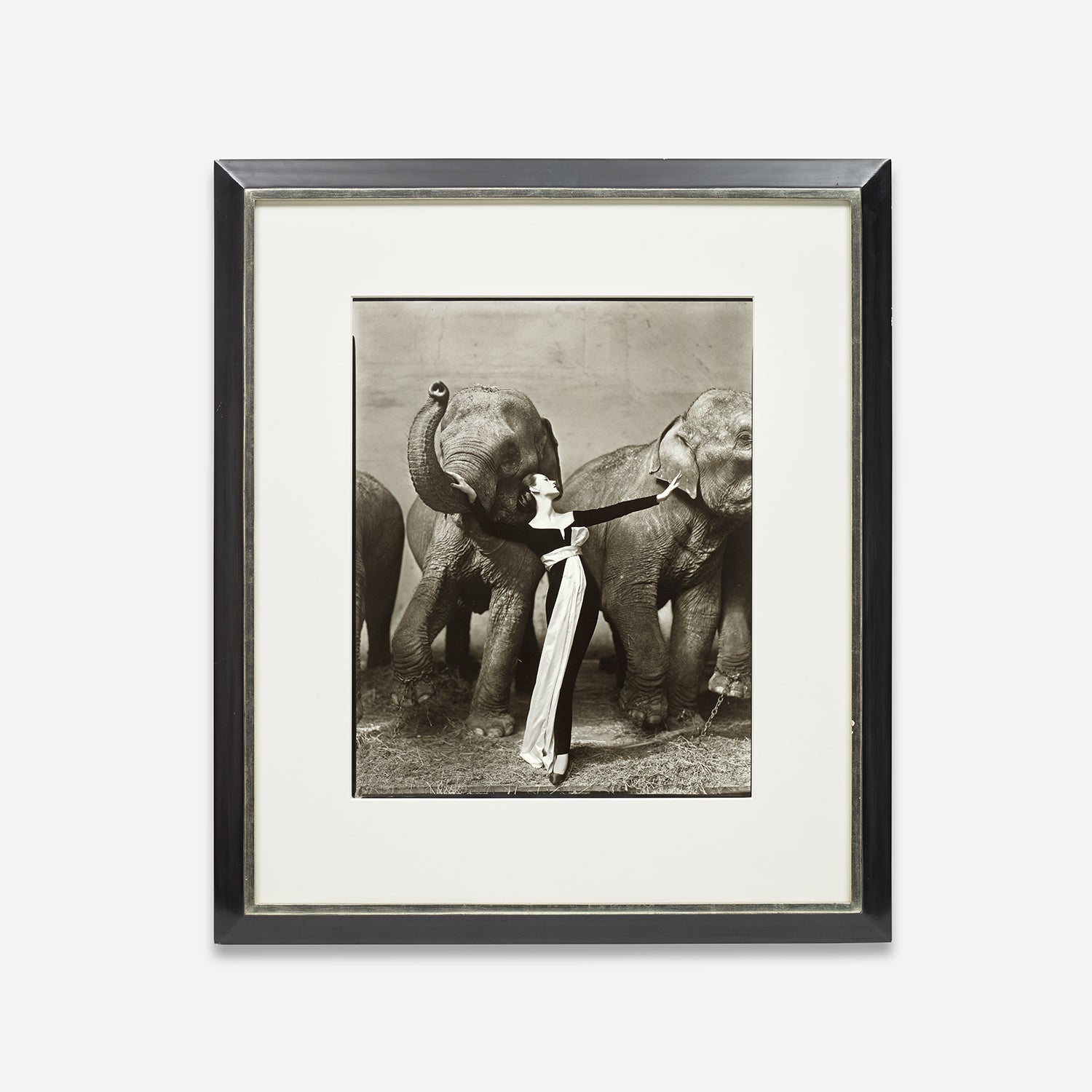 Richard Avedon Photographs
