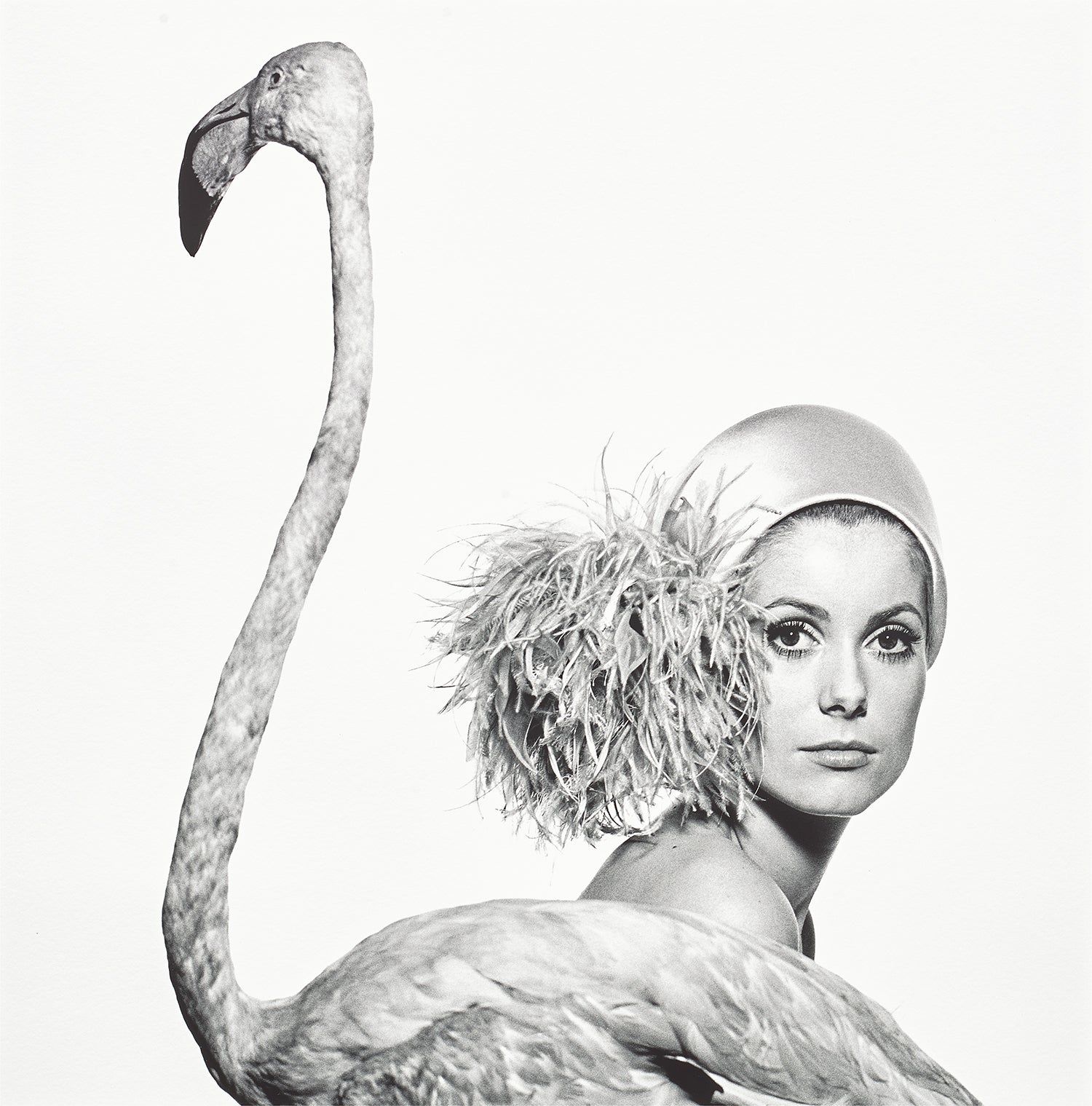 アート・デザイン・音楽 David Bailey Locations David Bailey: The Sixties, Davies Street, London, February 14