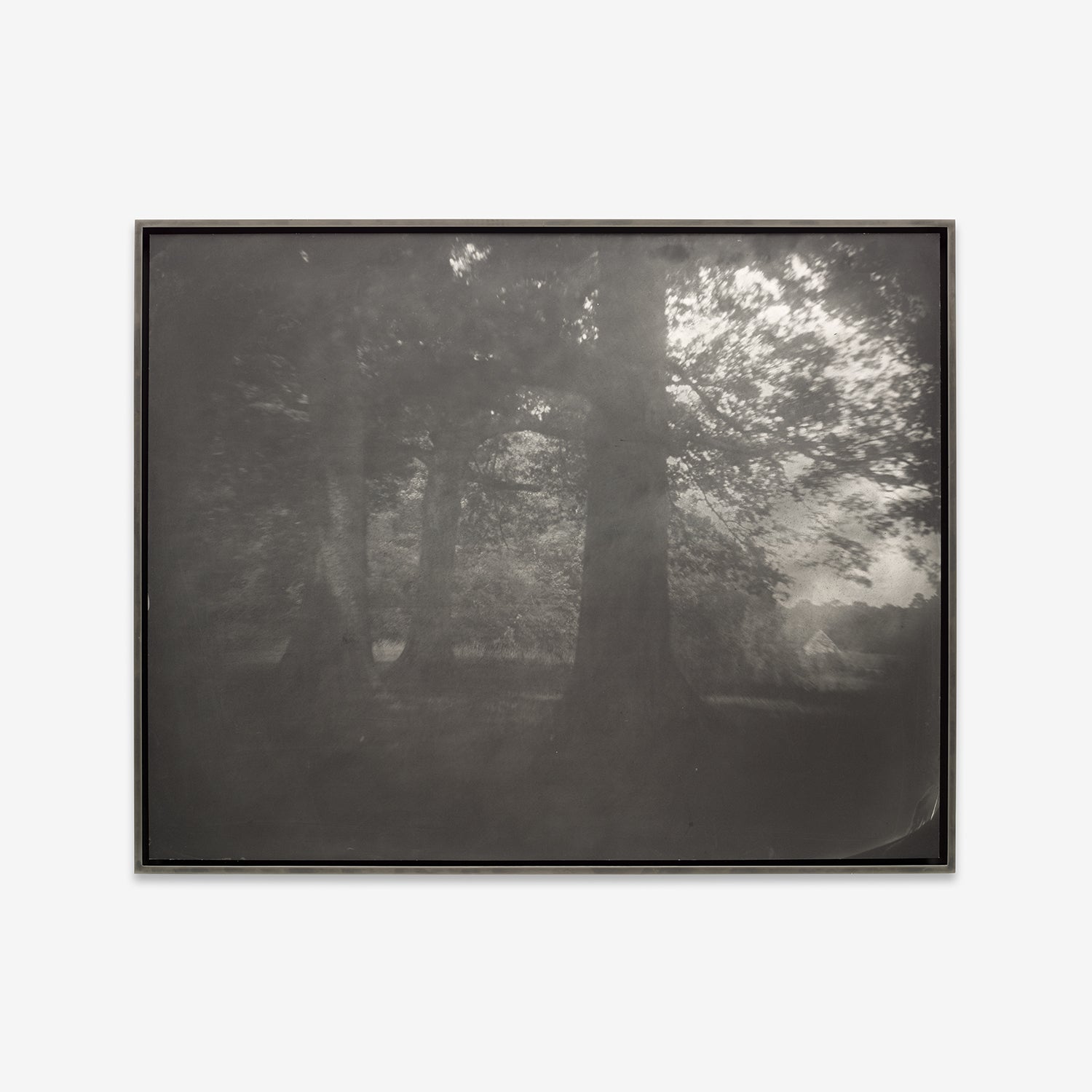 Sally Mann Photographs
