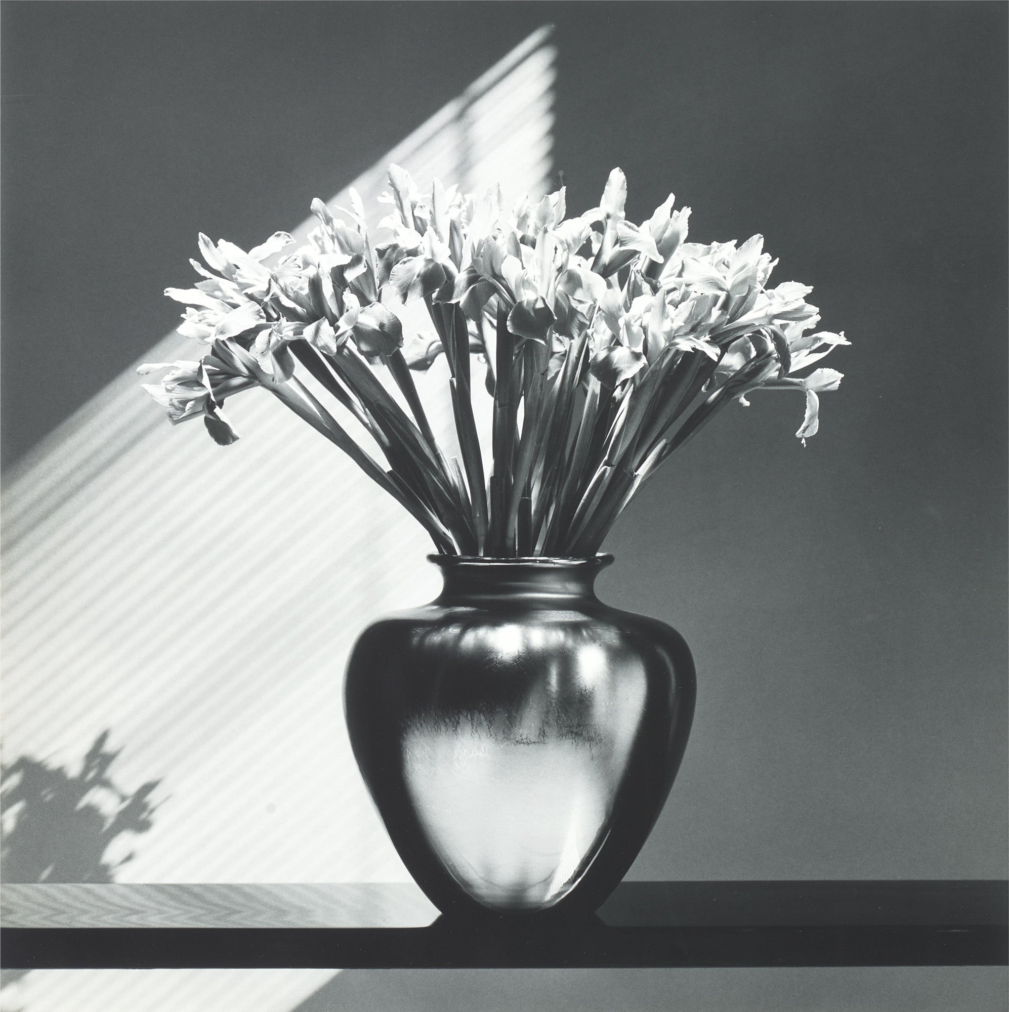 Brian Duffy Photographs