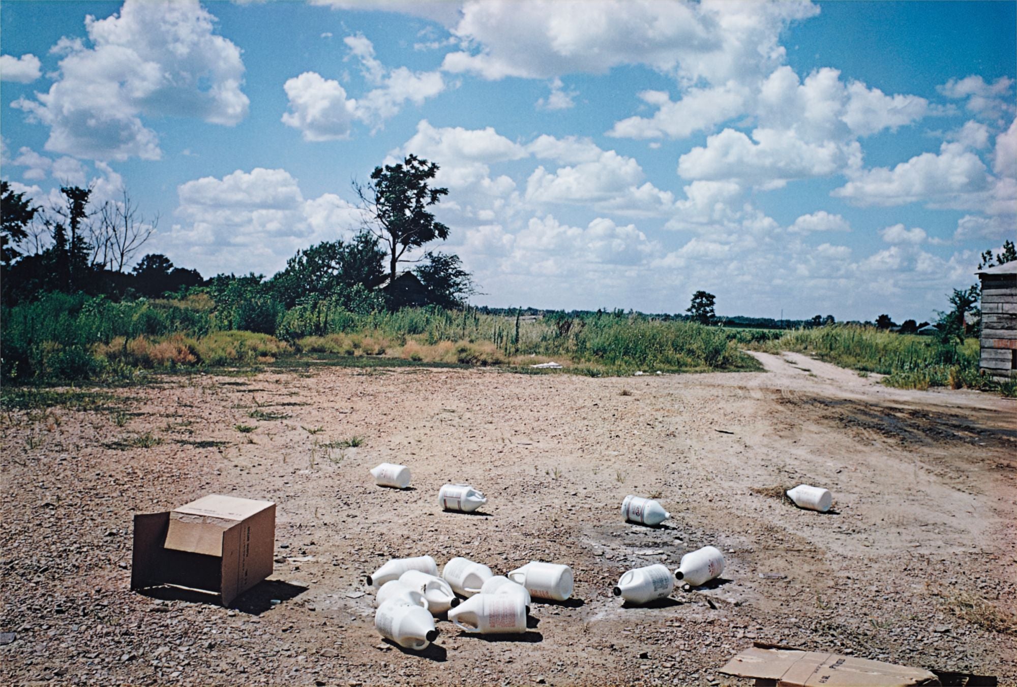 荒木経惟 Nobuyoshi Araki Photographs