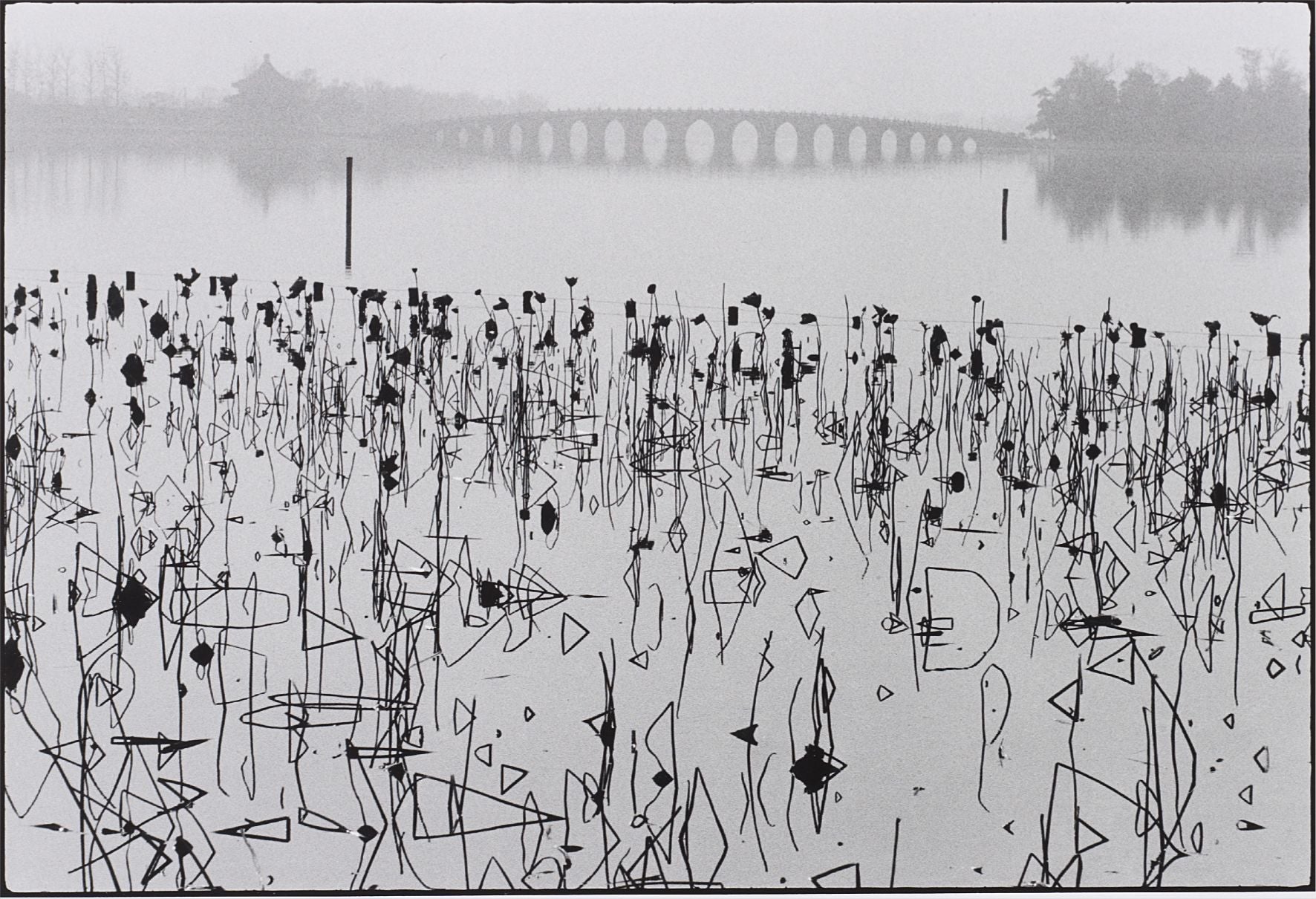 荒木経惟 Nobuyoshi Araki Photographs