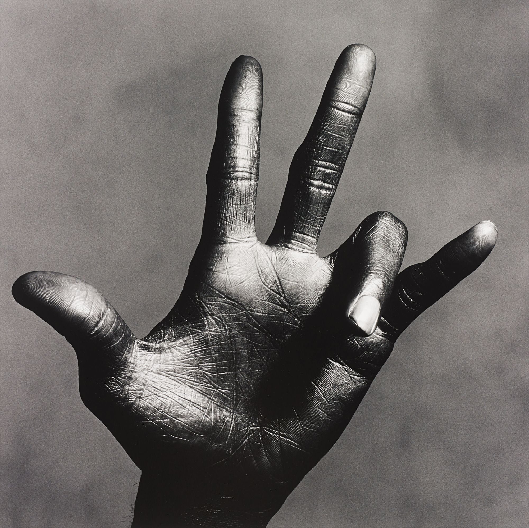 Irving Penn Photographs